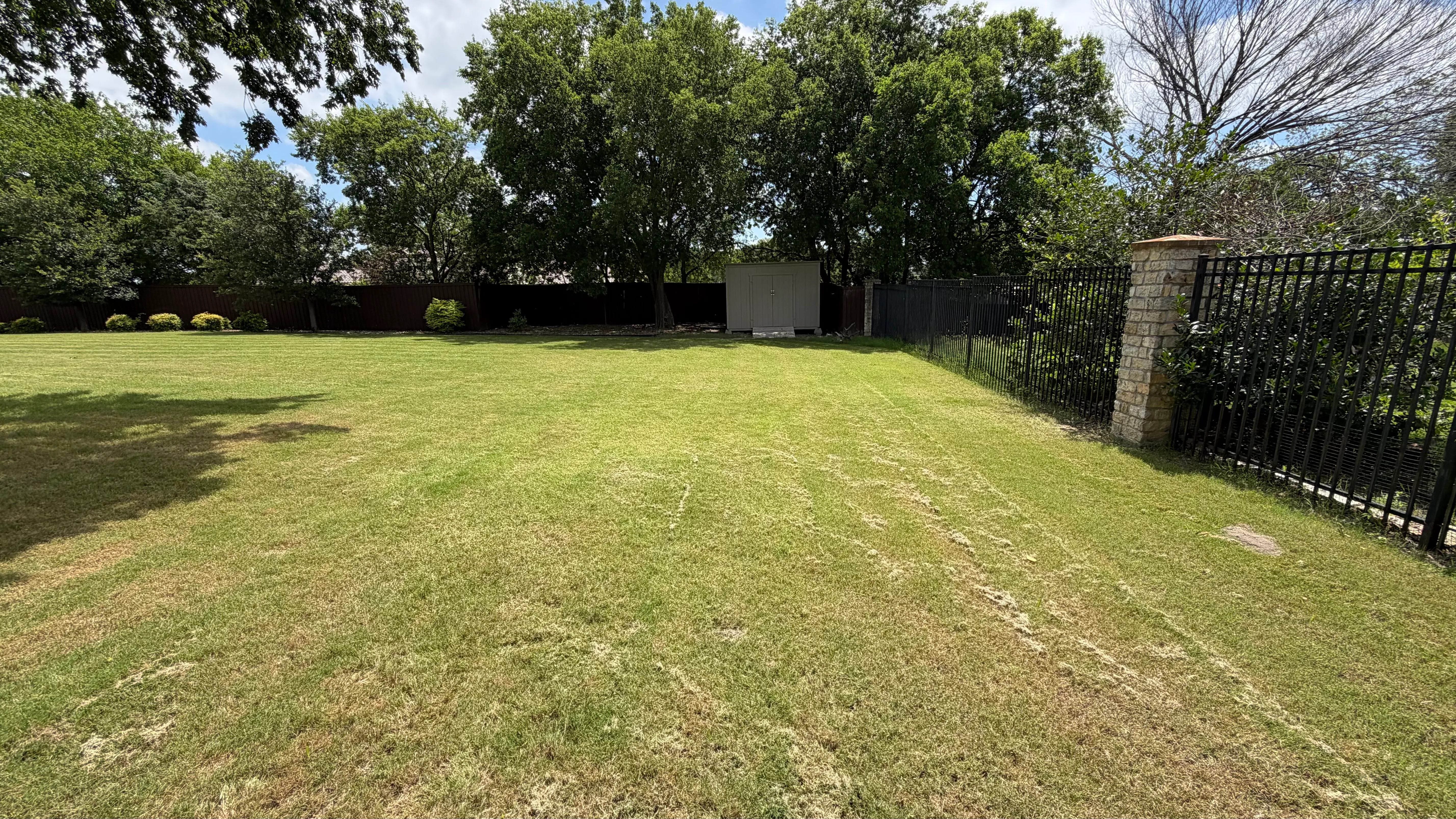 Allen backyard batting cage: Cimarron 55x12x12 net on steel posts, crushed-concrete base, clay batter's box — before
