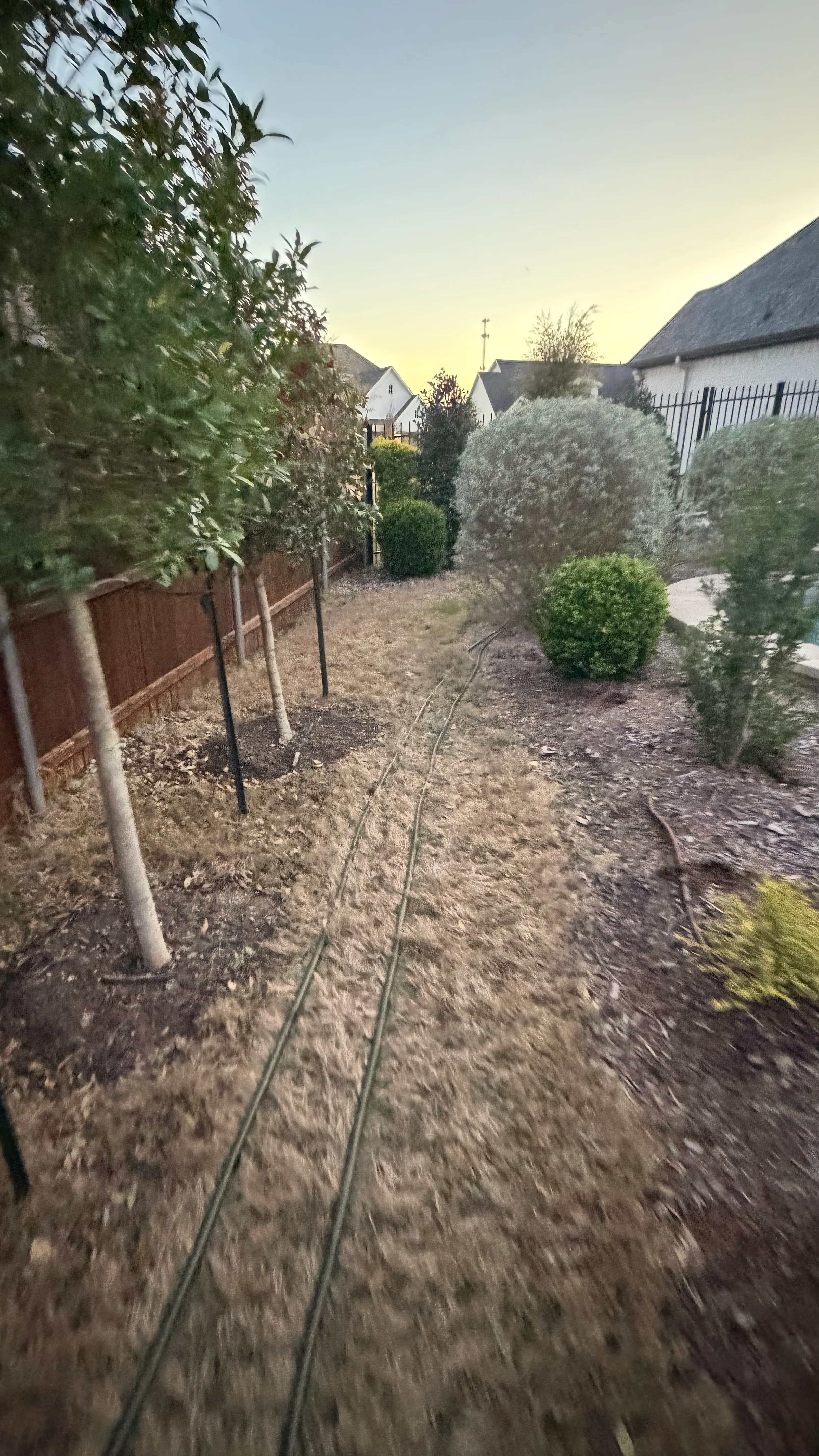 Before 2 — Parks of Aledo backyard conversion: 1,750 SF of turf that disappears into the greenbelt, plus a paver walkway