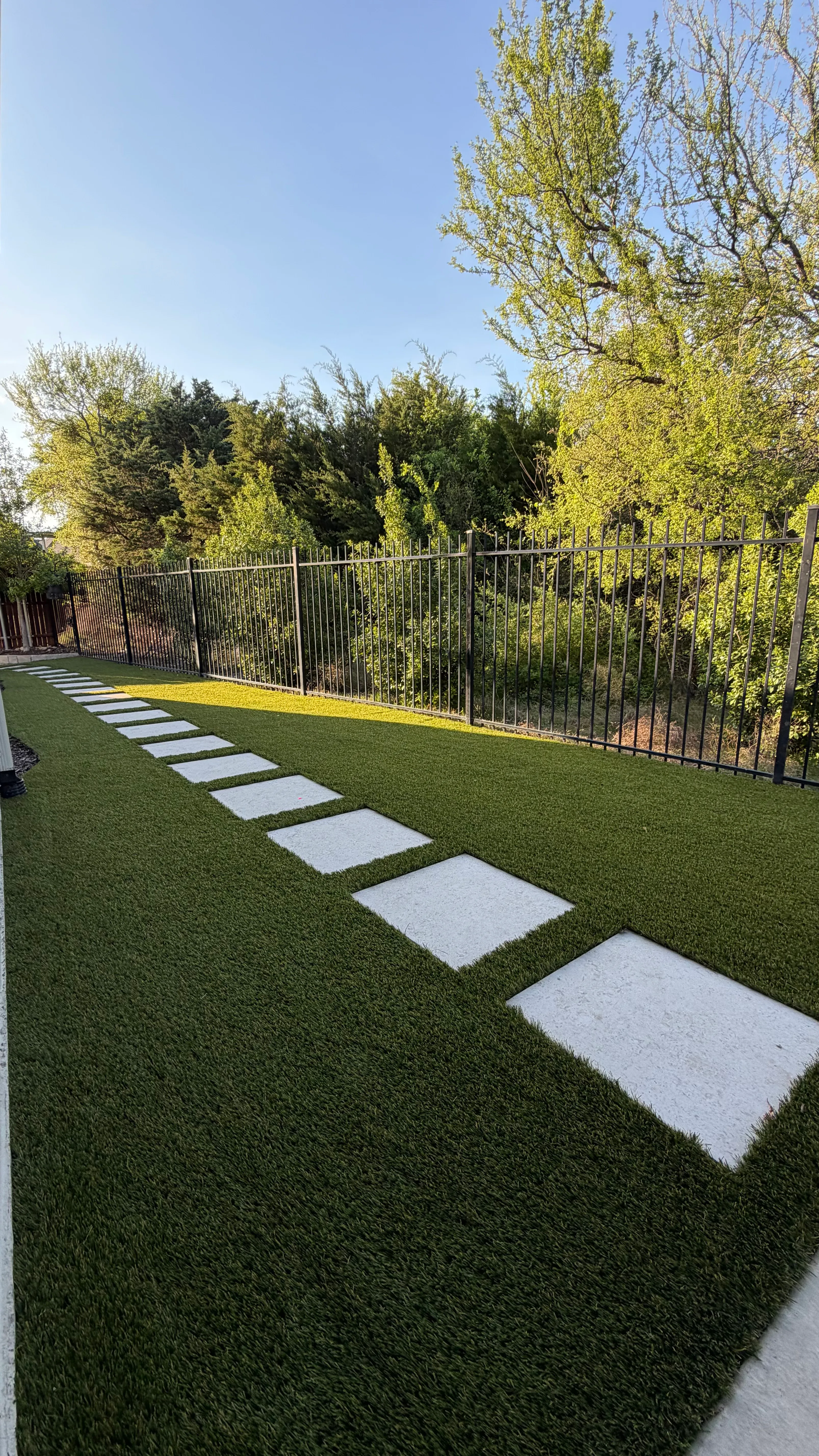 Parks of Aledo backyard conversion: 1,750 SF of turf that disappears into the greenbelt, plus a paver walkway feature 2