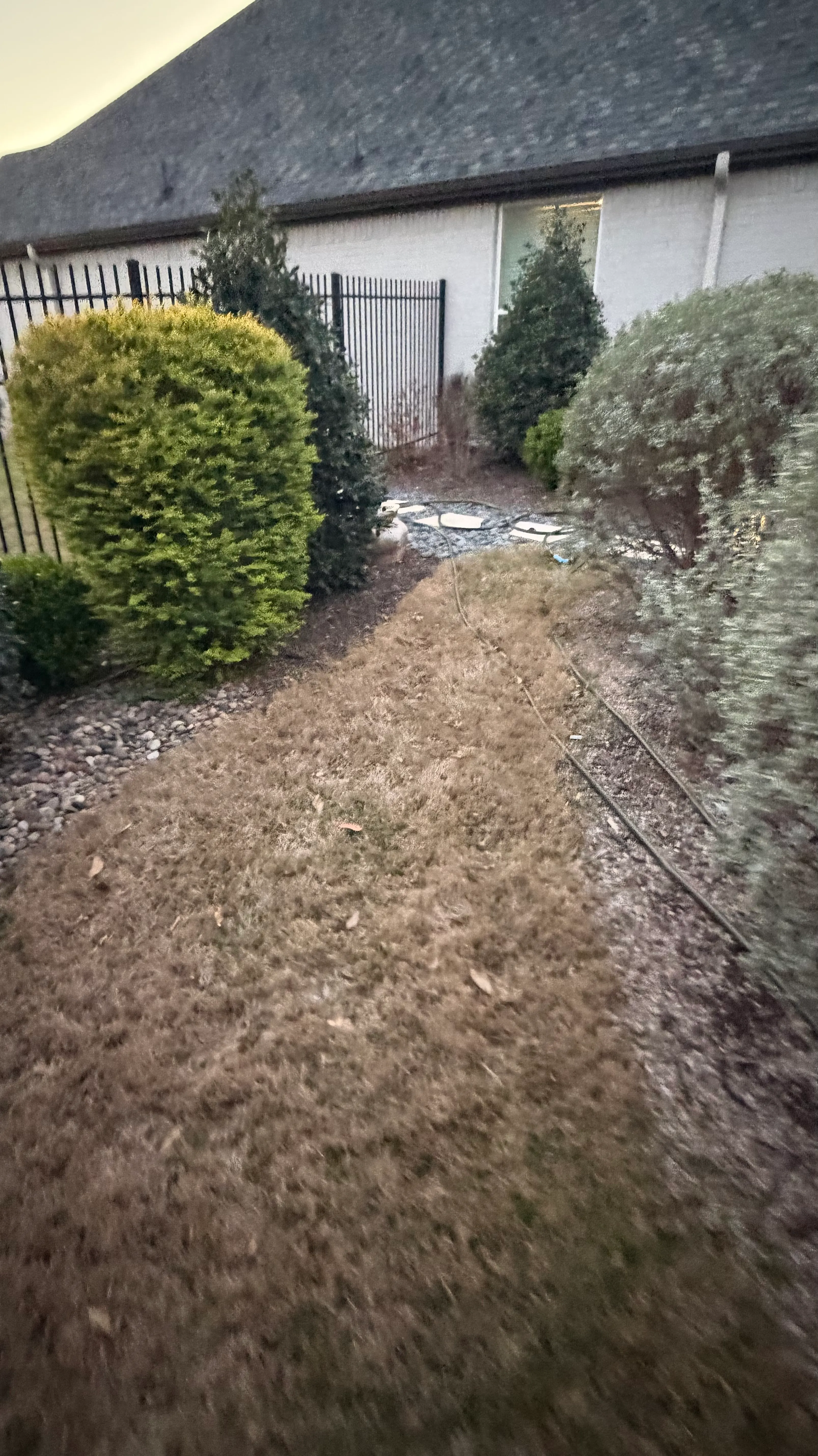Before 3 — Parks of Aledo backyard conversion: 1,750 SF of turf that disappears into the greenbelt, plus a paver walkway