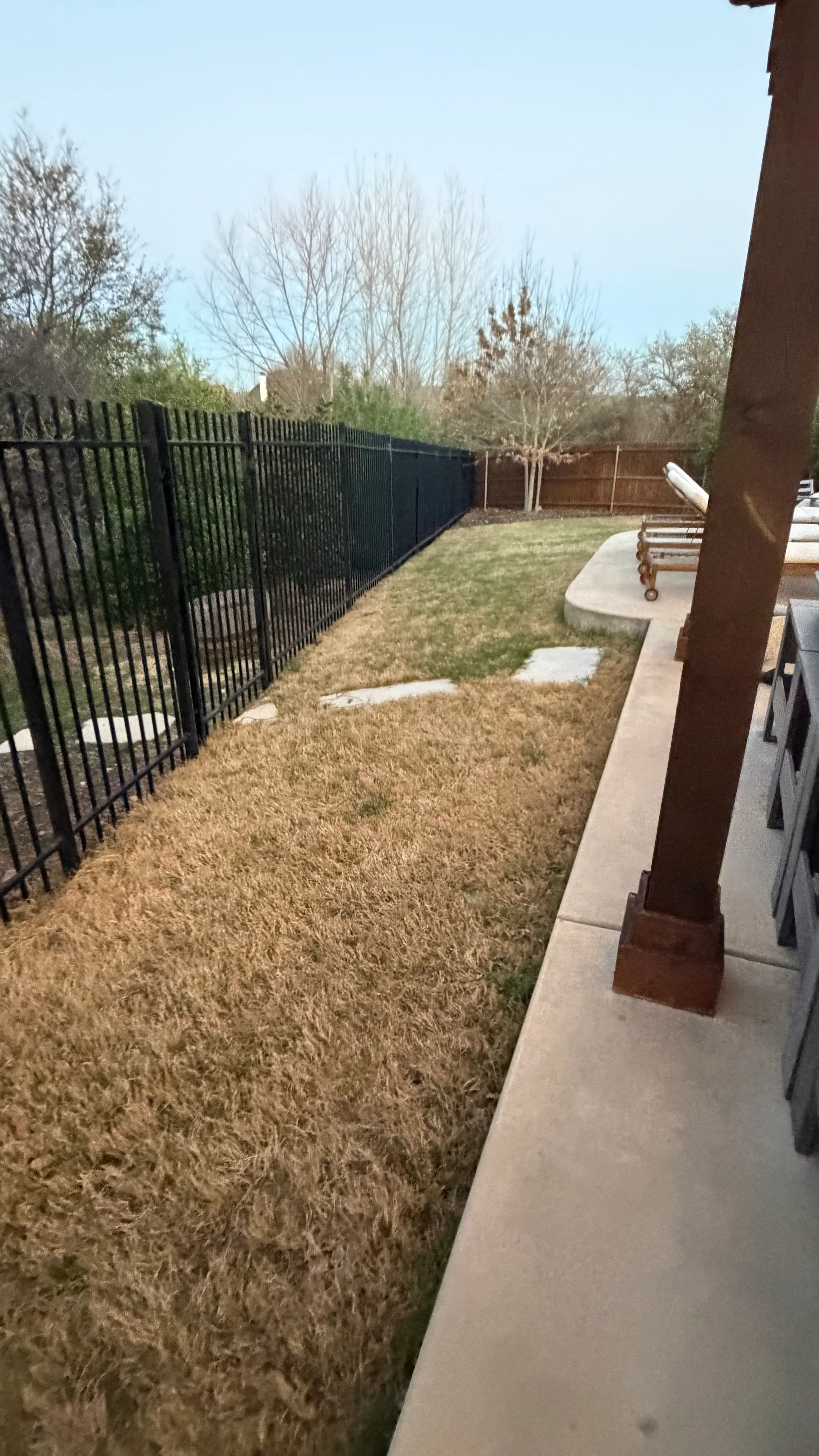Before 4 — Parks of Aledo backyard conversion: 1,750 SF of turf that disappears into the greenbelt, plus a paver walkway