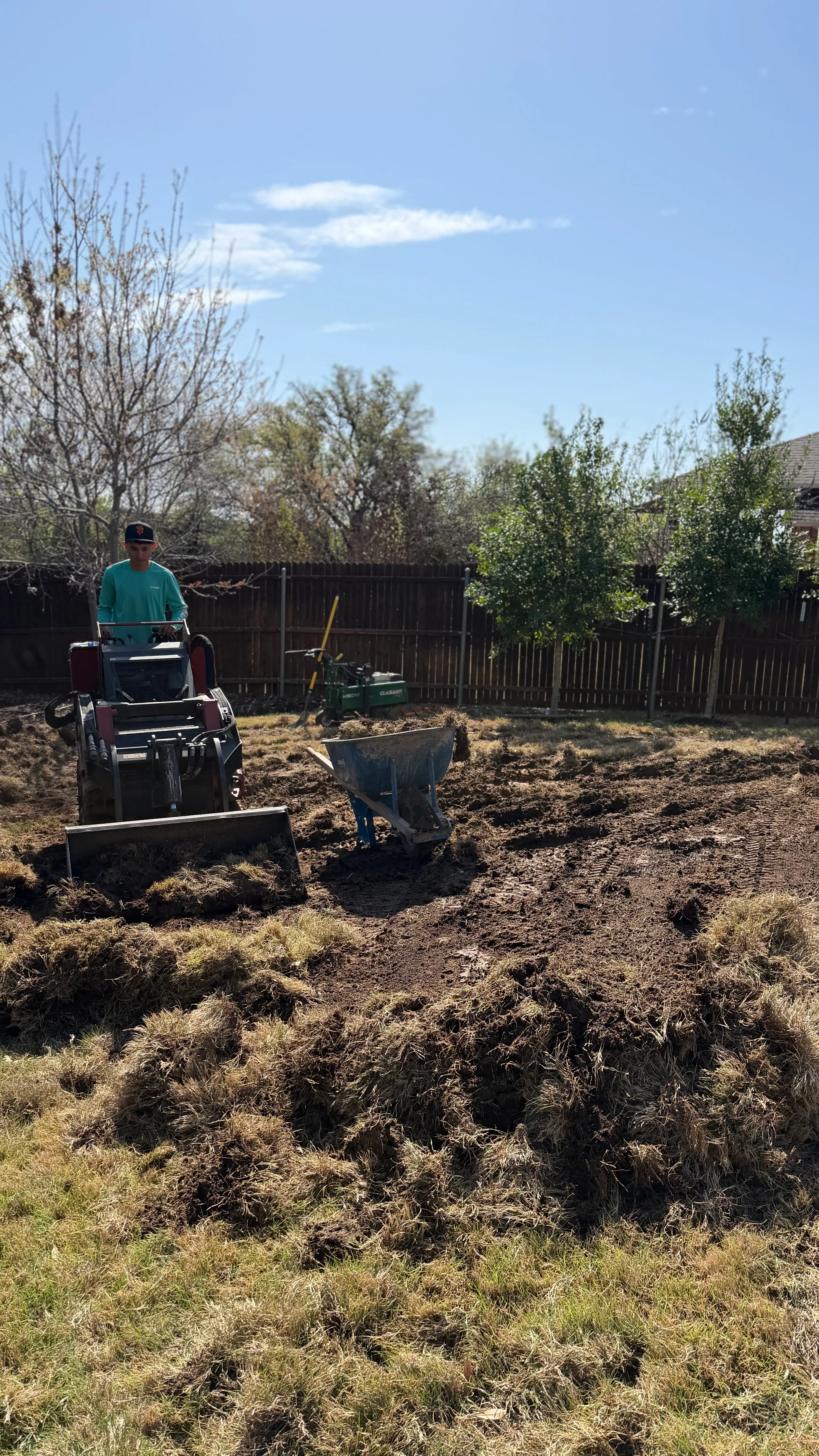 Construction 1 — Parks of Aledo backyard conversion: 1,750 SF of turf that disappears into the greenbelt, plus a paver walkway