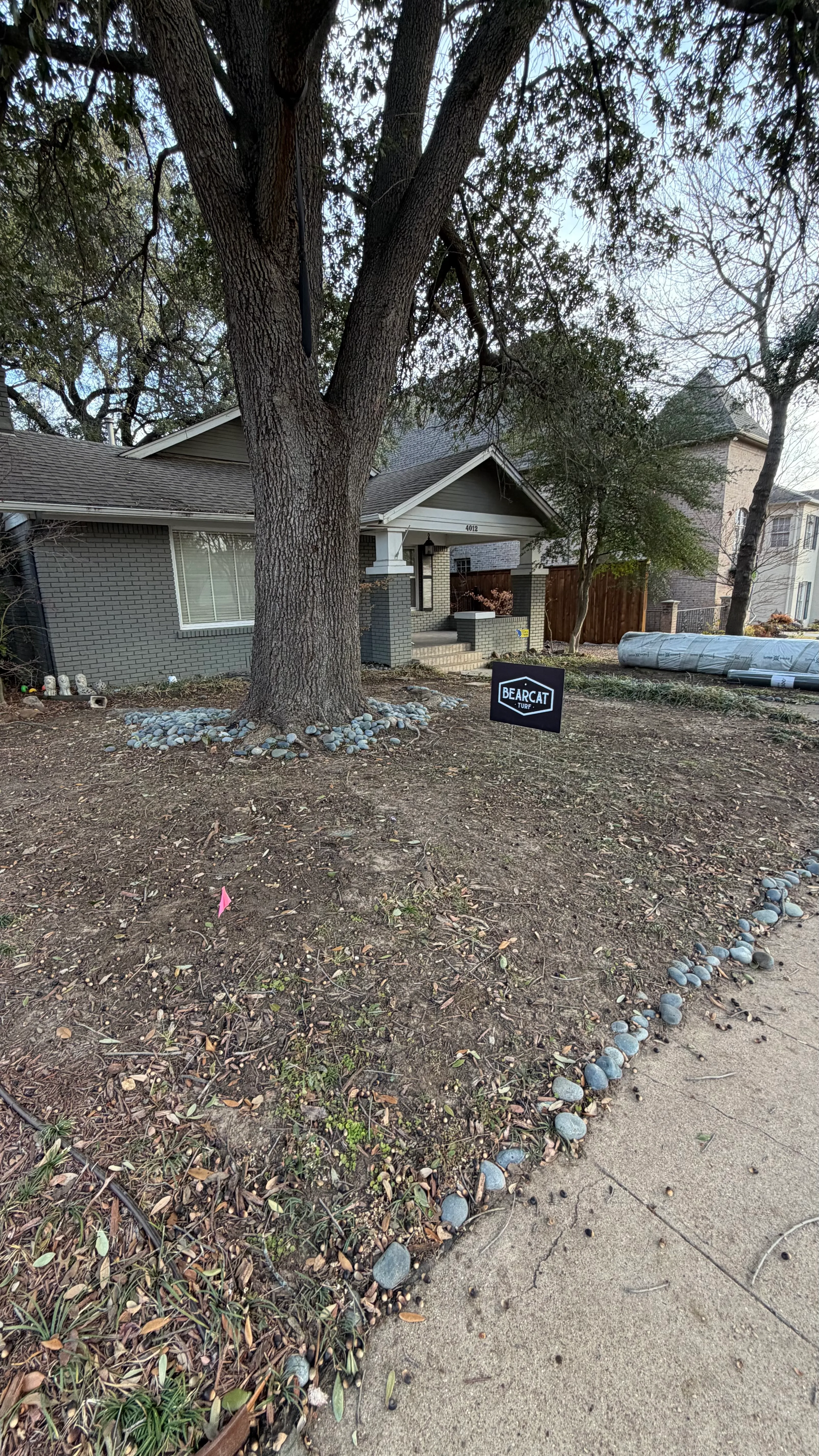 Monticello front yard: 2,200 SF of turf under a mature Fort Worth tree canopy — before