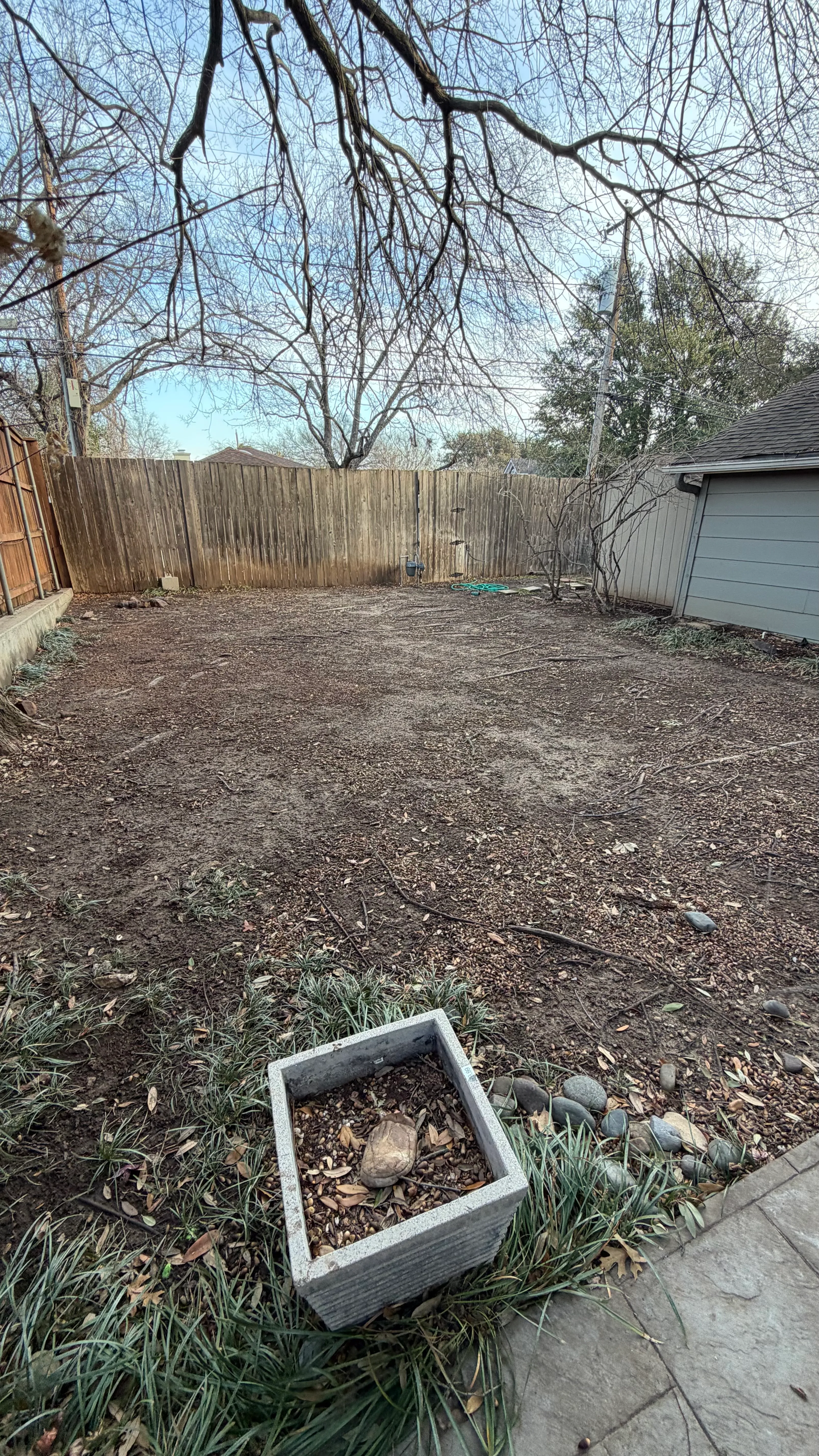 Before 4 — Monticello front yard: 2,200 SF of turf under a mature Fort Worth tree canopy