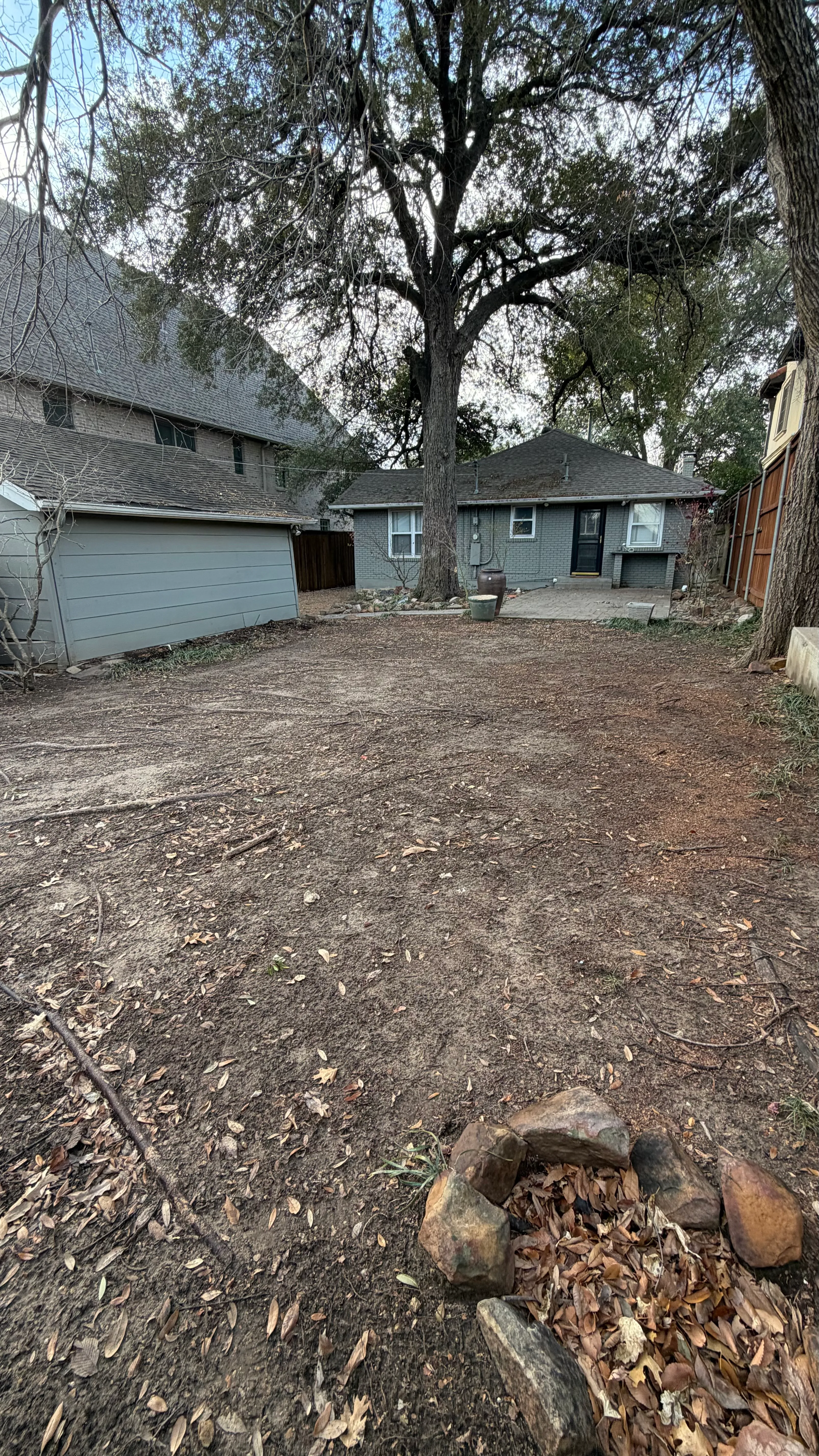 Before 5 — Monticello front yard: 2,200 SF of turf under a mature Fort Worth tree canopy