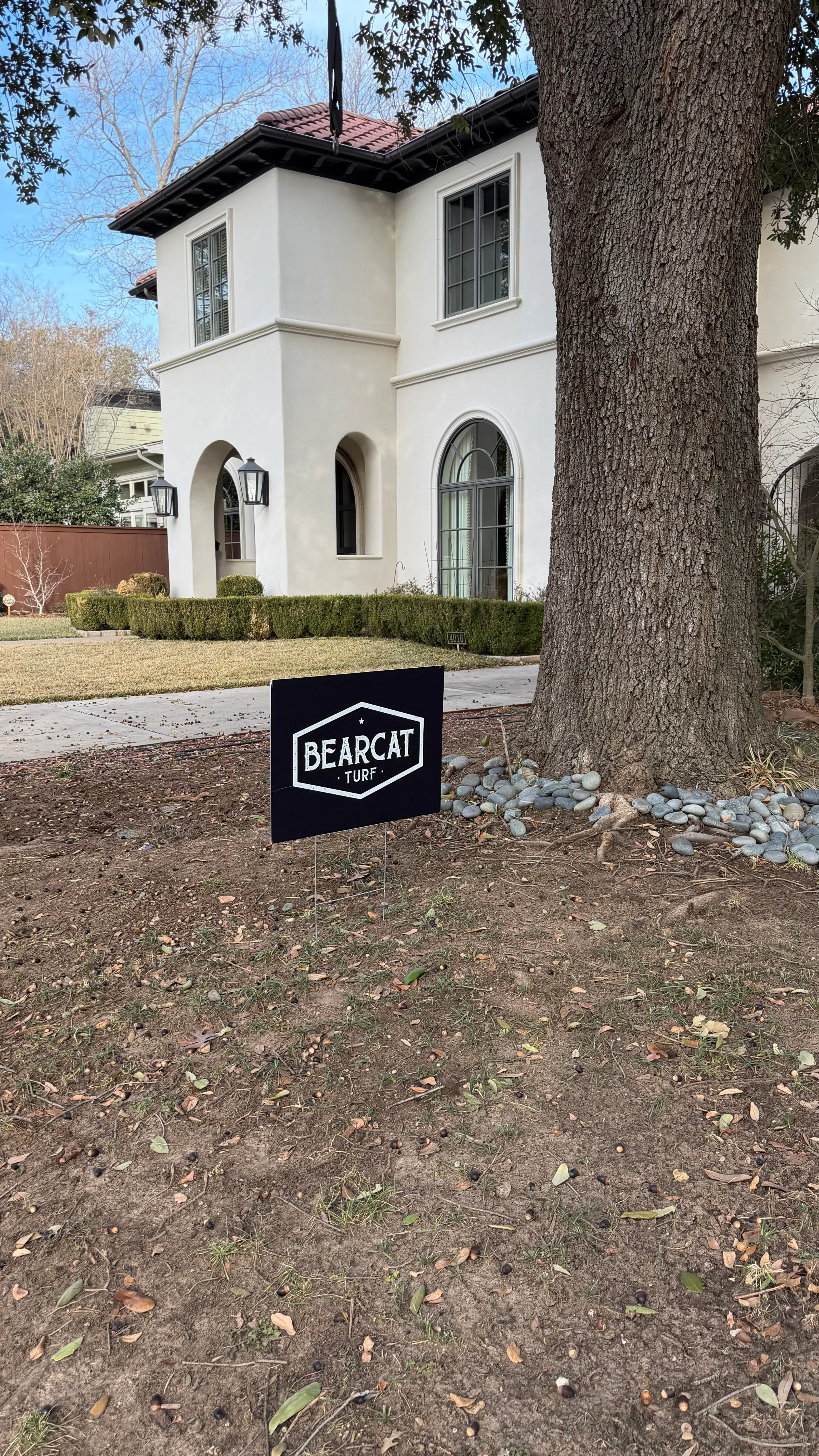 Before 6 — Monticello front yard: 2,200 SF of turf under a mature Fort Worth tree canopy