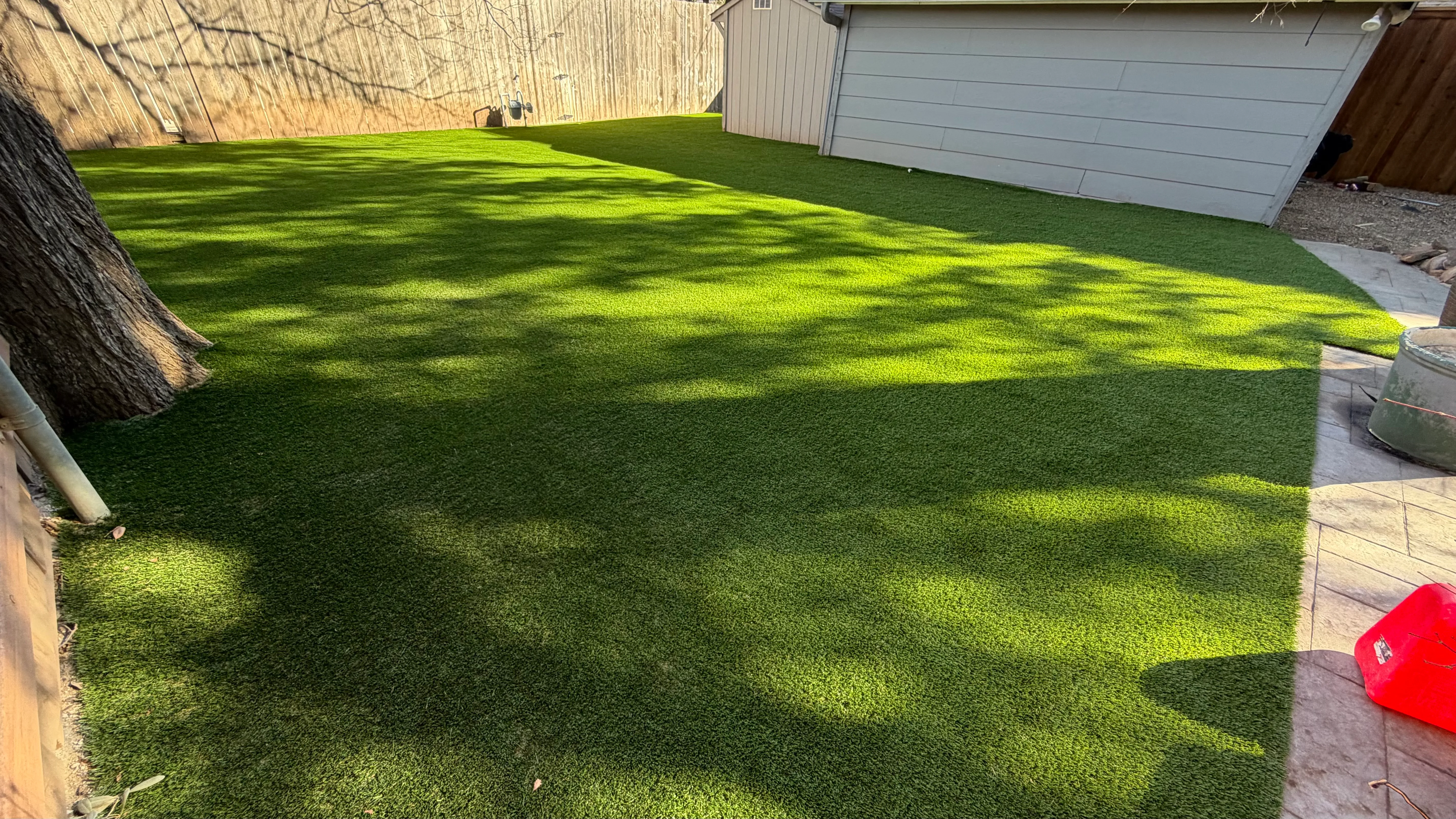 Construction 2 — Monticello front yard: 2,200 SF of turf under a mature Fort Worth tree canopy