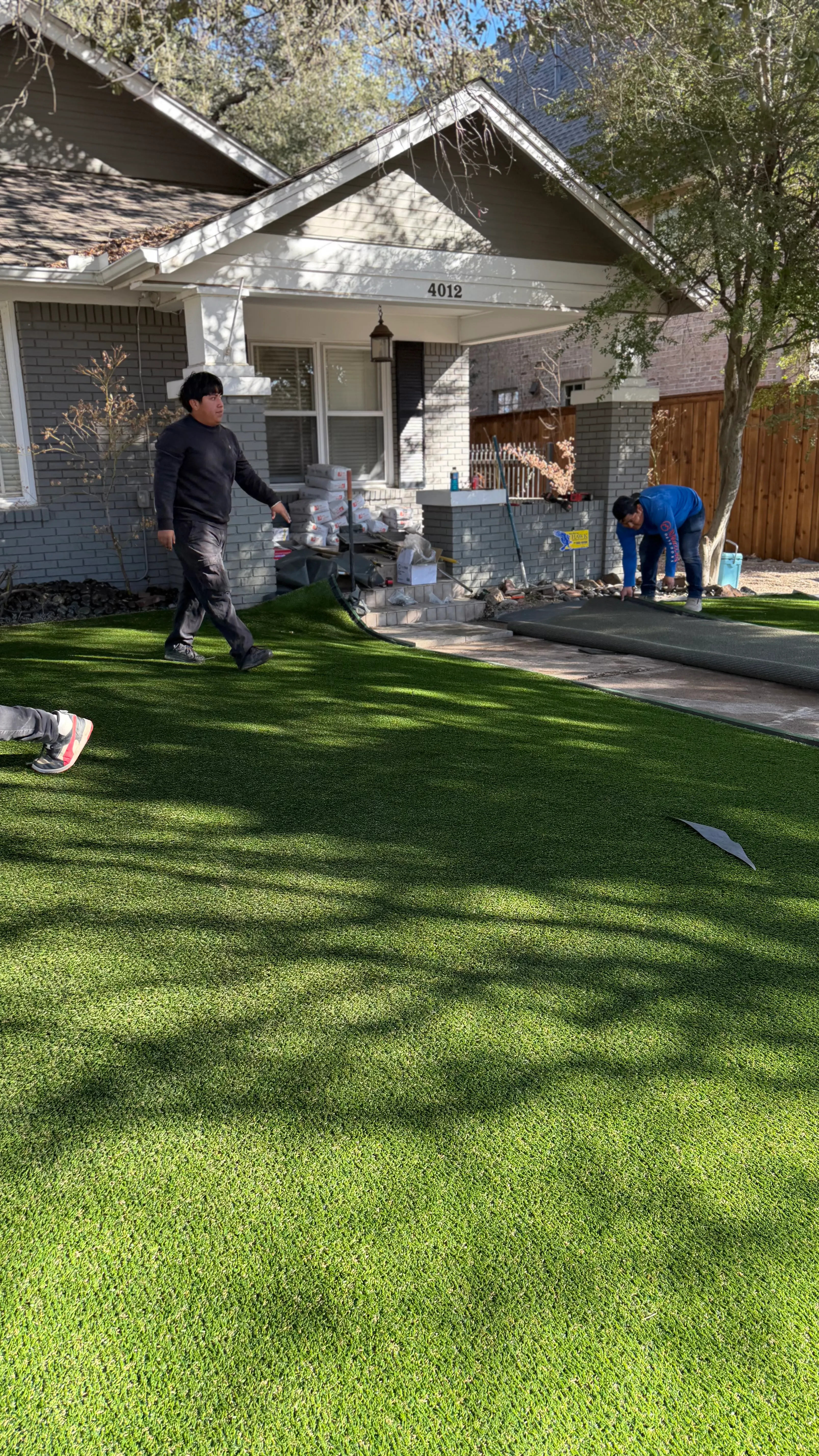 Construction 5 — Monticello front yard: 2,200 SF of turf under a mature Fort Worth tree canopy