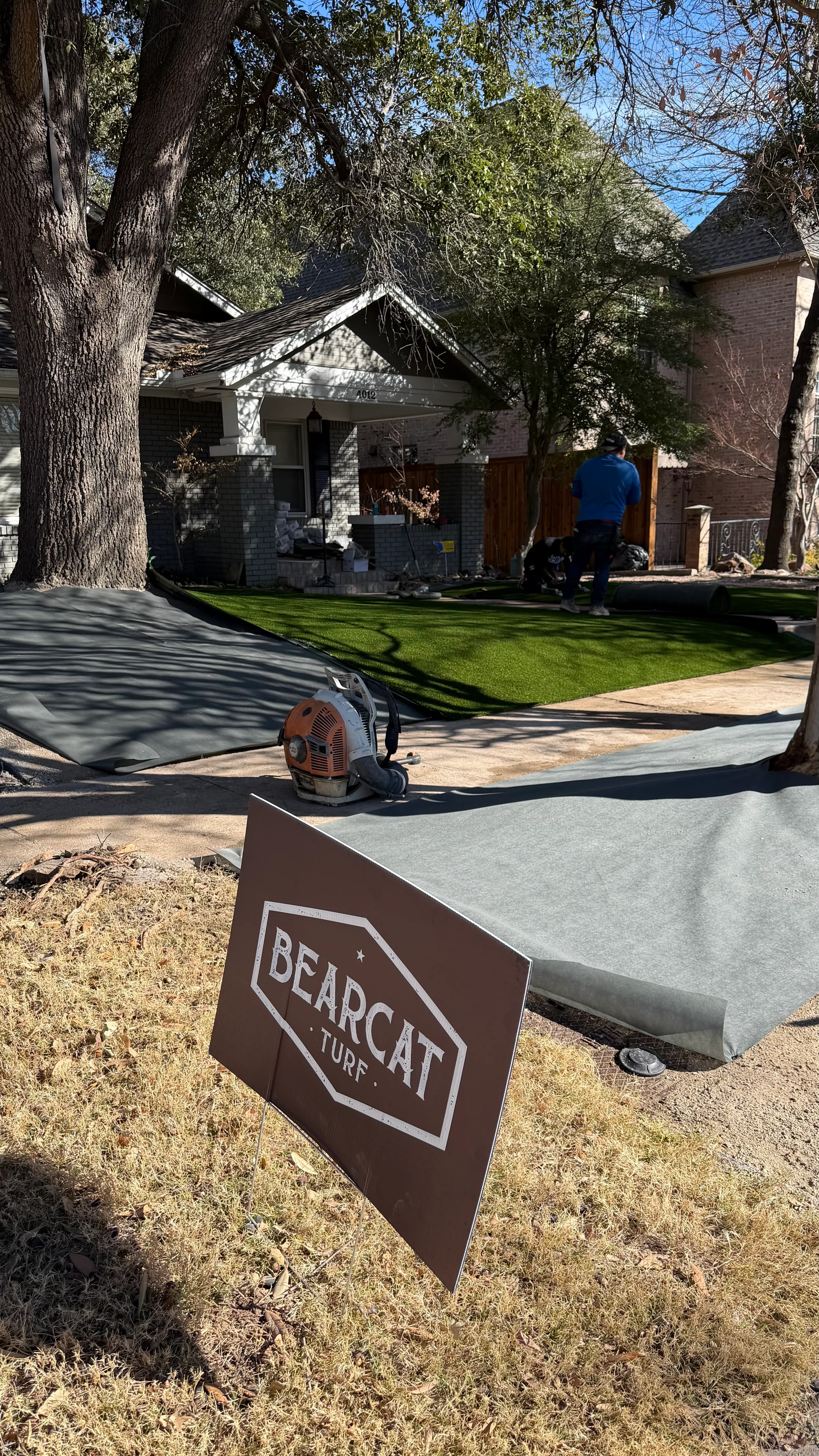 Construction 6 — Monticello front yard: 2,200 SF of turf under a mature Fort Worth tree canopy