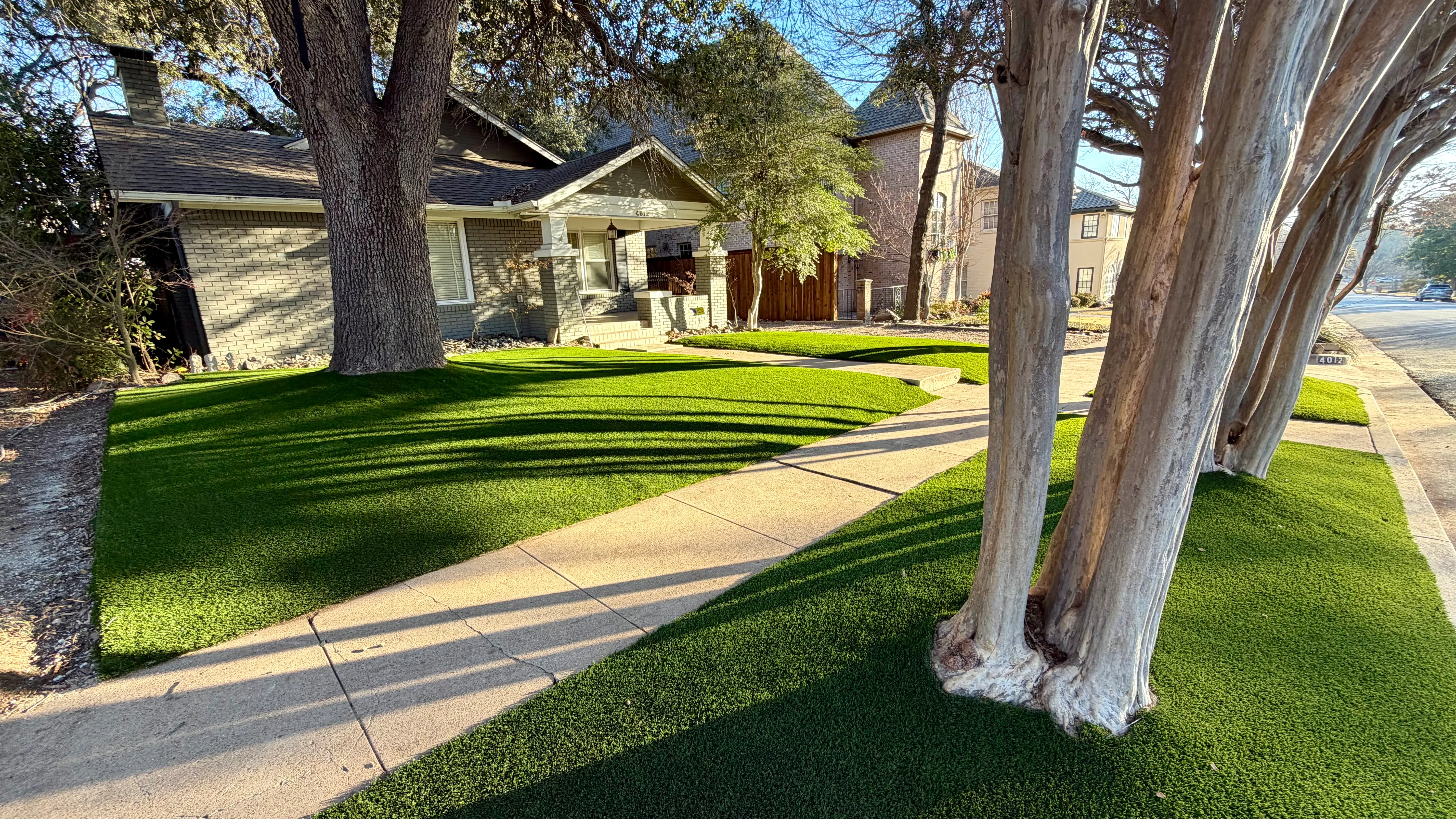 After 5 — Monticello front yard: 2,200 SF of turf under a mature Fort Worth tree canopy