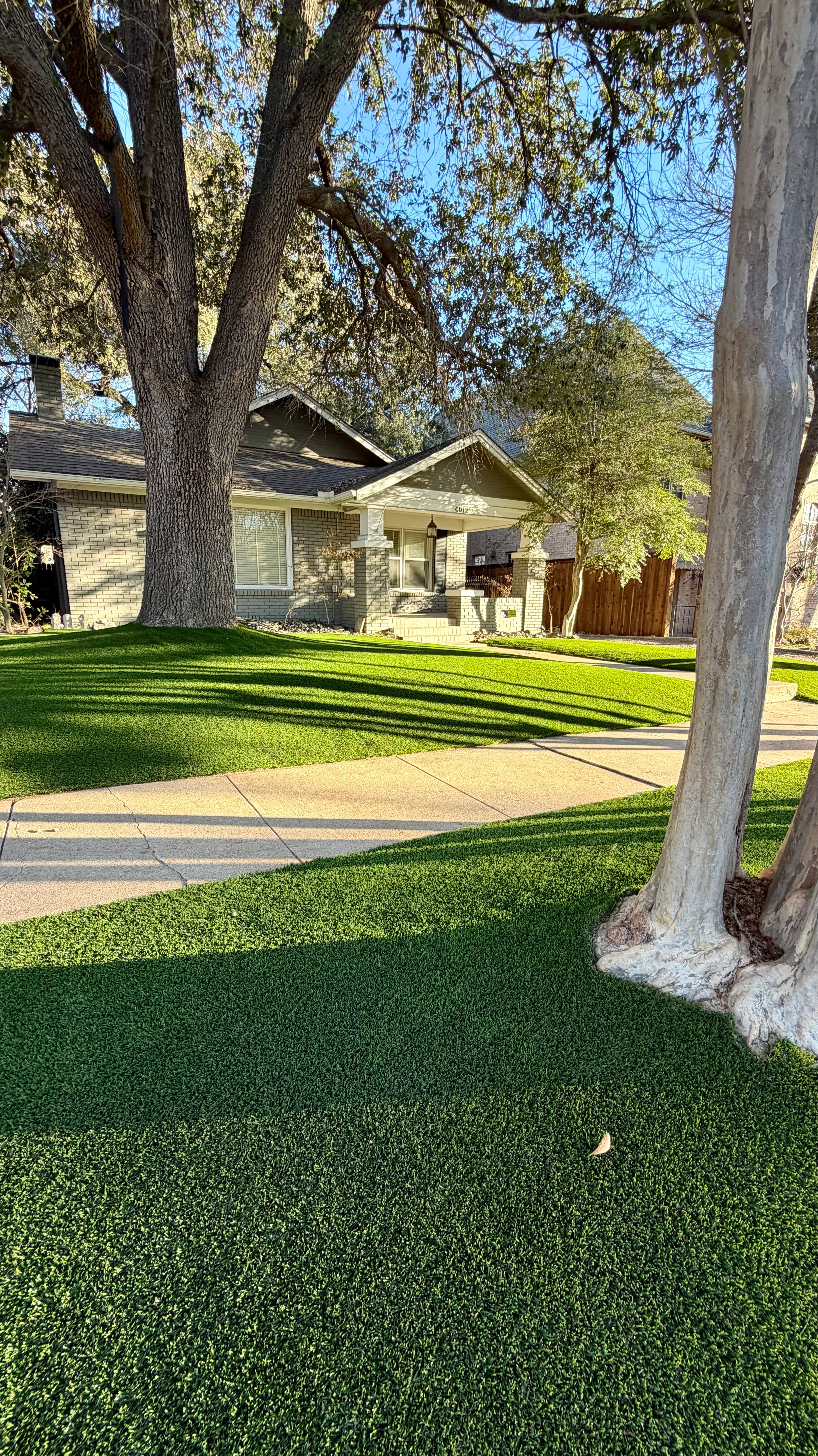 After 6 — Monticello front yard: 2,200 SF of turf under a mature Fort Worth tree canopy