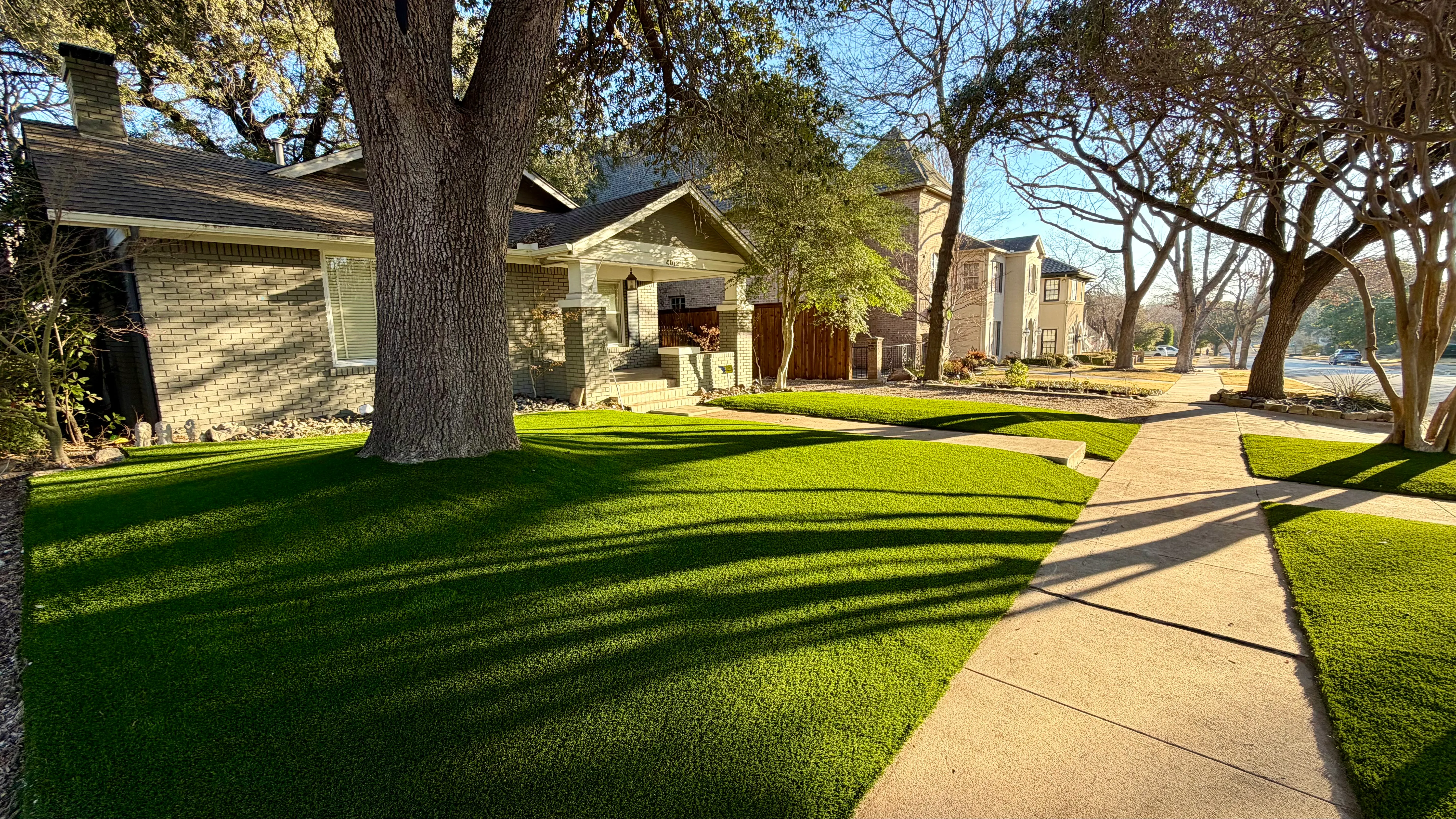 After 7 — Monticello front yard: 2,200 SF of turf under a mature Fort Worth tree canopy