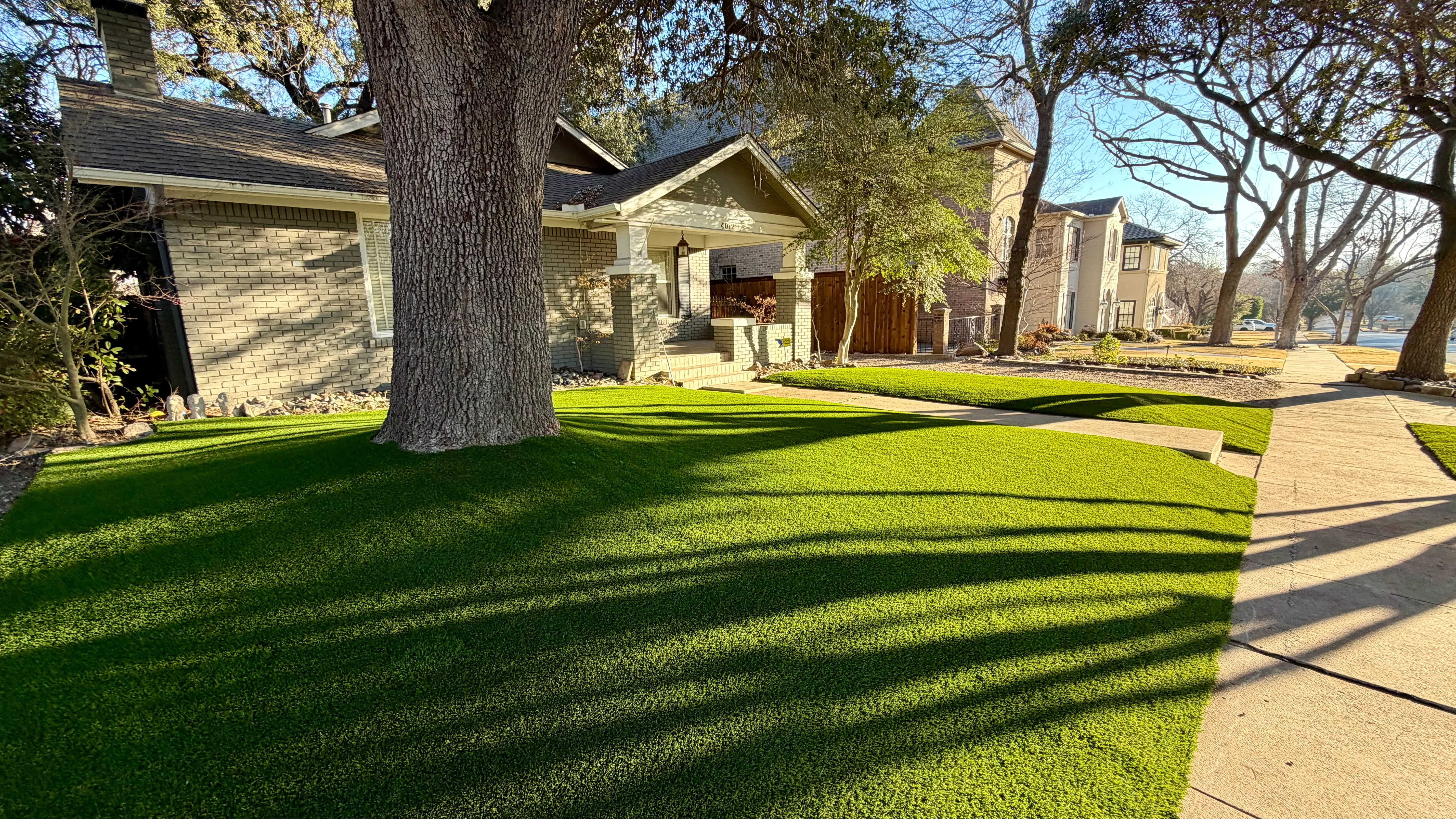 After 8 — Monticello front yard: 2,200 SF of turf under a mature Fort Worth tree canopy
