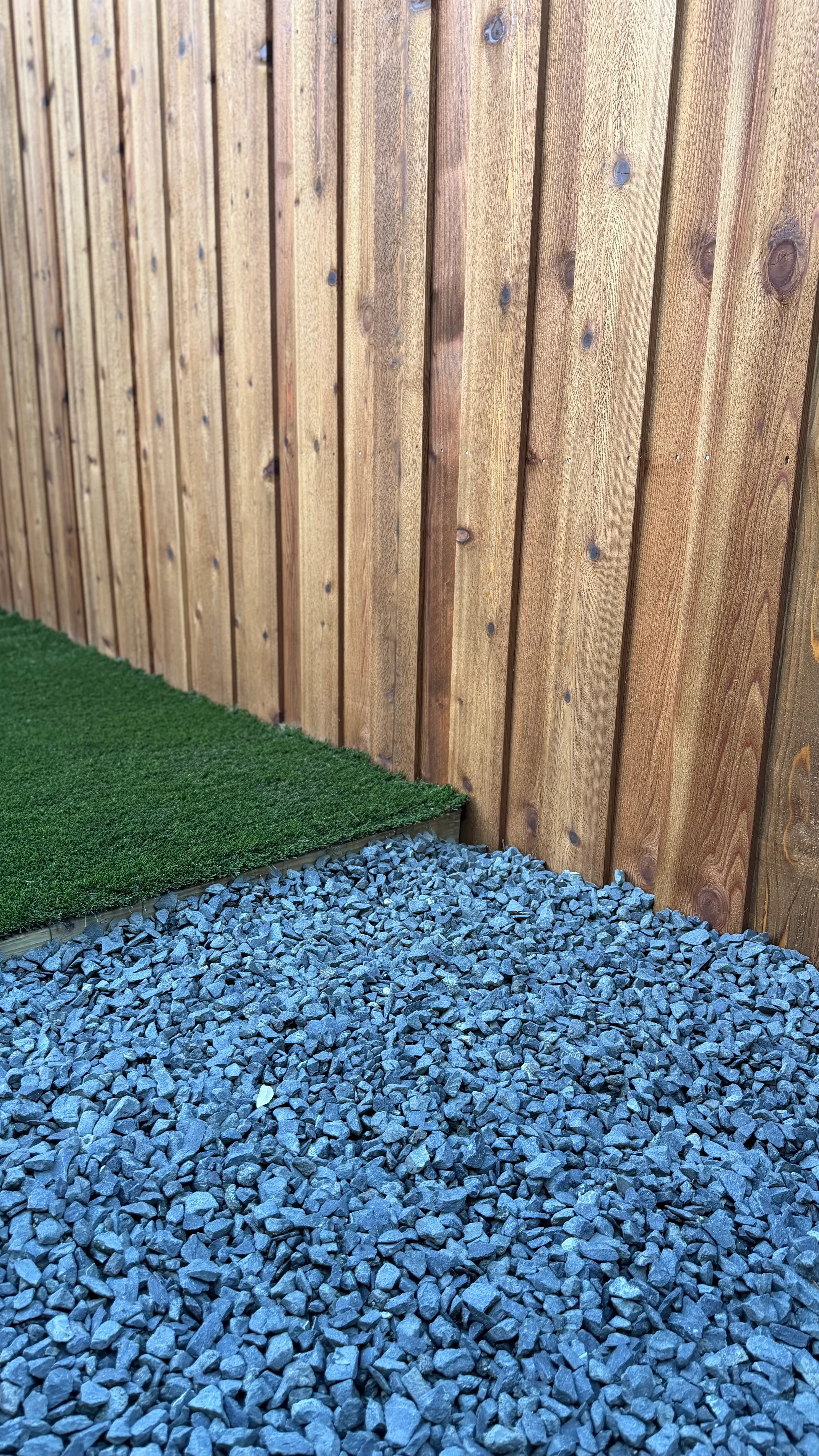 After 11 — Monticello front yard: 2,200 SF of turf under a mature Fort Worth tree canopy