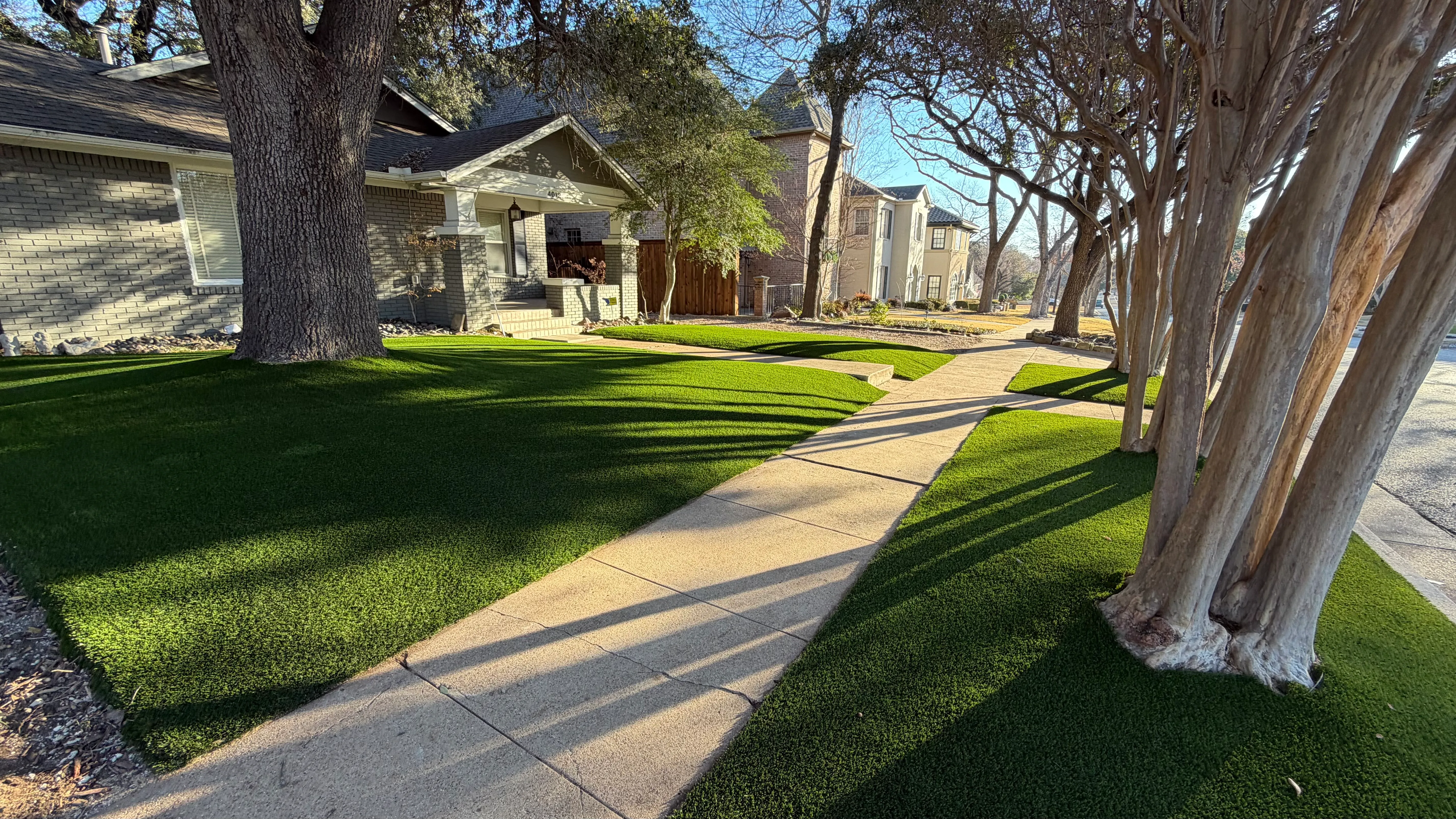 After 14 — Monticello front yard: 2,200 SF of turf under a mature Fort Worth tree canopy