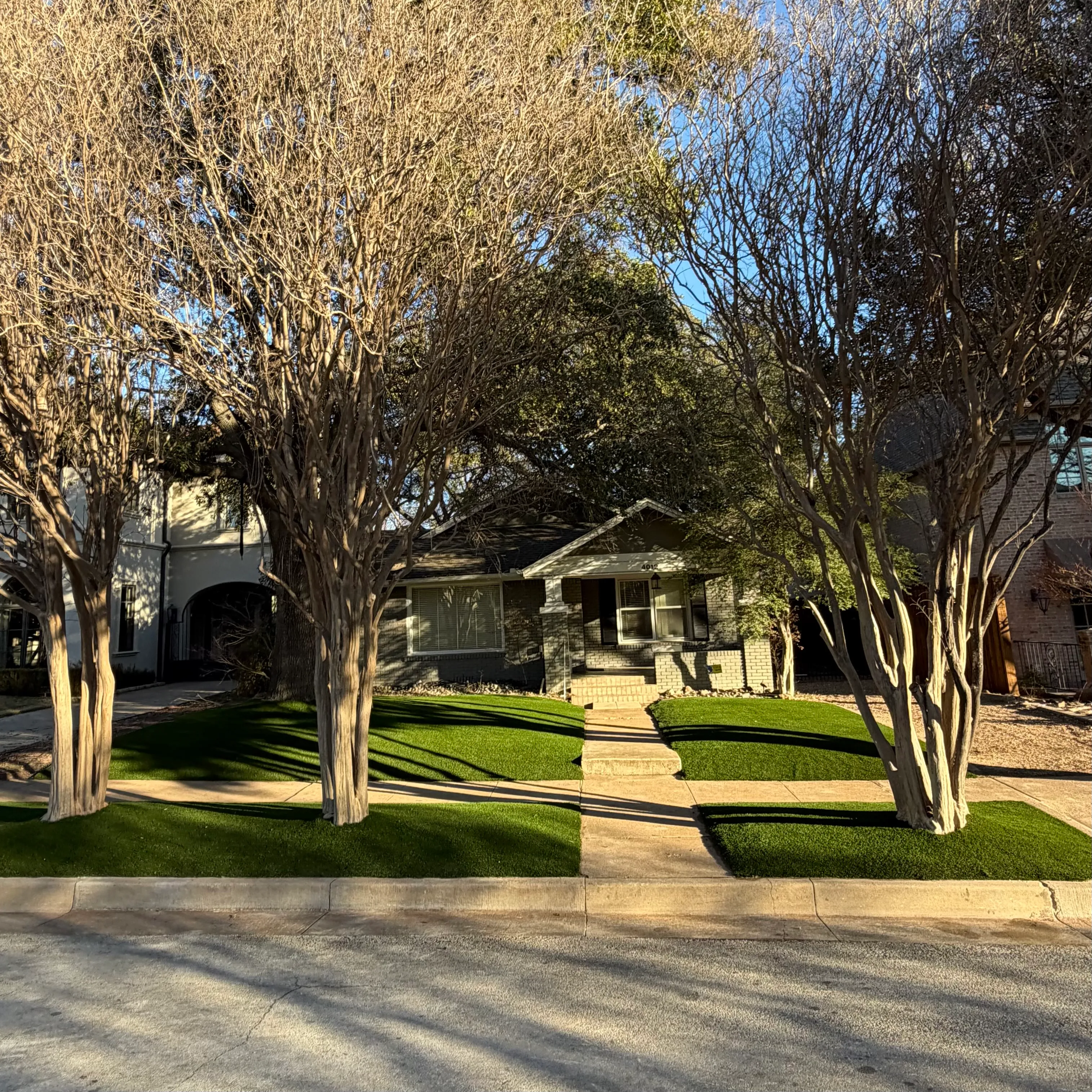 After 15 — Monticello front yard: 2,200 SF of turf under a mature Fort Worth tree canopy