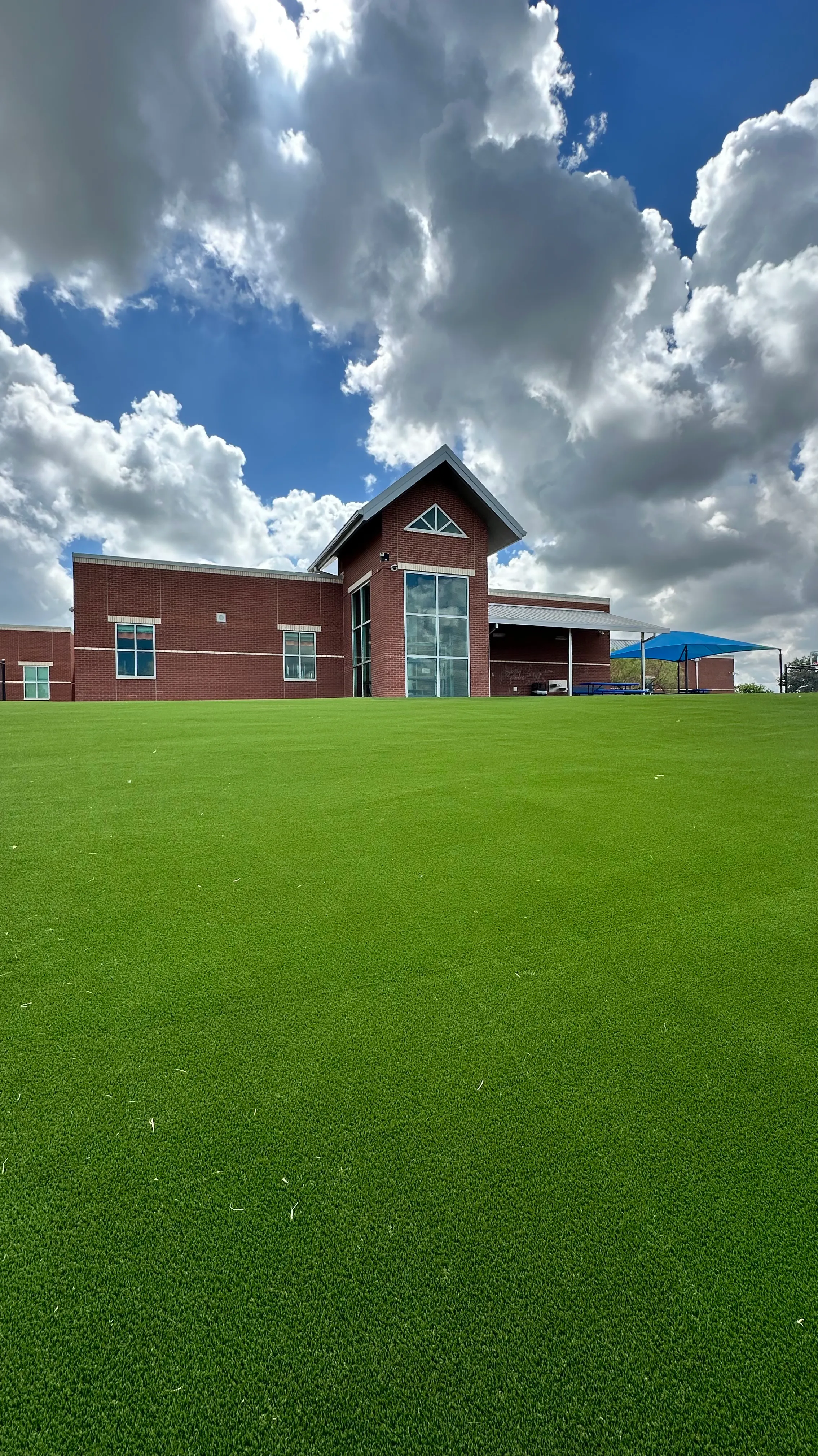 Bearcat artificial turf backyard install in Willow Park, TX (photo 20)