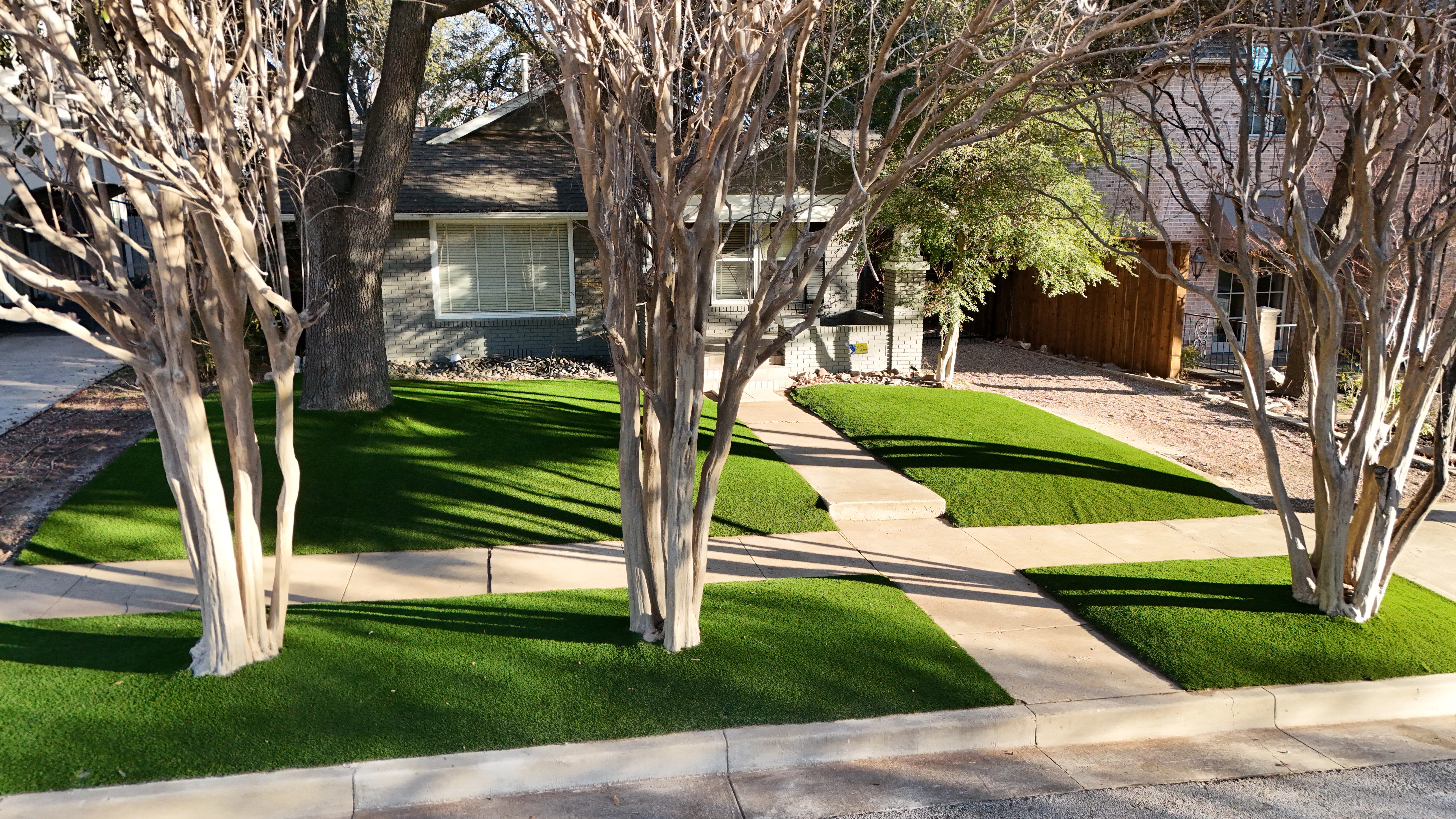Monticello front yard: 2,200 SF of turf under a mature Fort Worth tree canopy