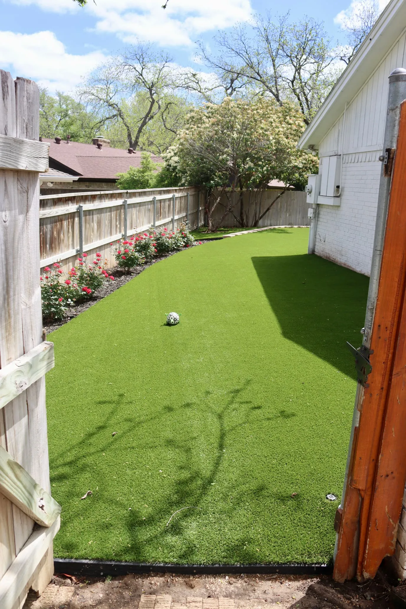 Side-yard artificial turf strip with rose border in DFW