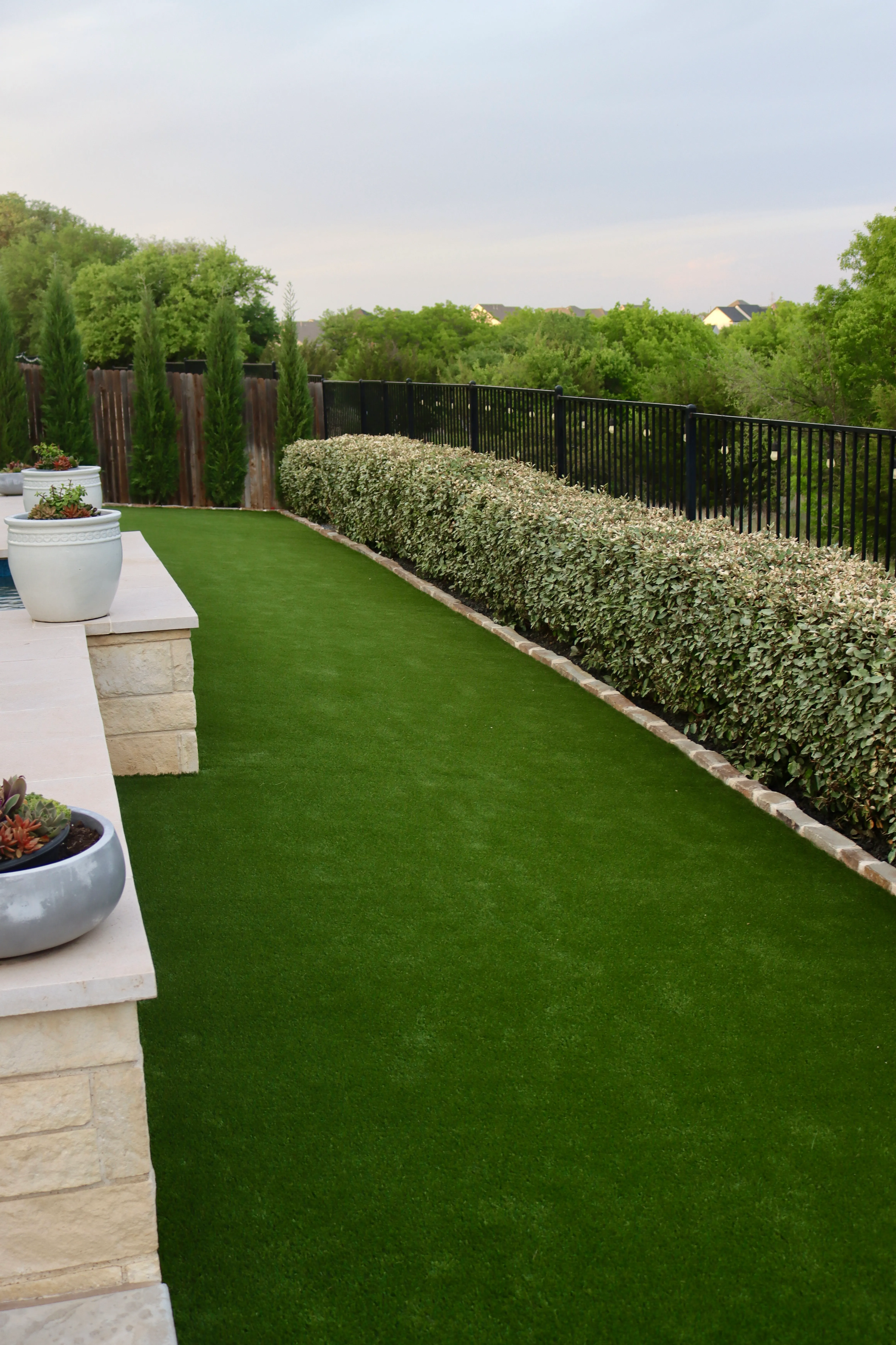 Vertical view of an artificial turf strip running along a cypress hedge and black iron fence in a DFW backyard