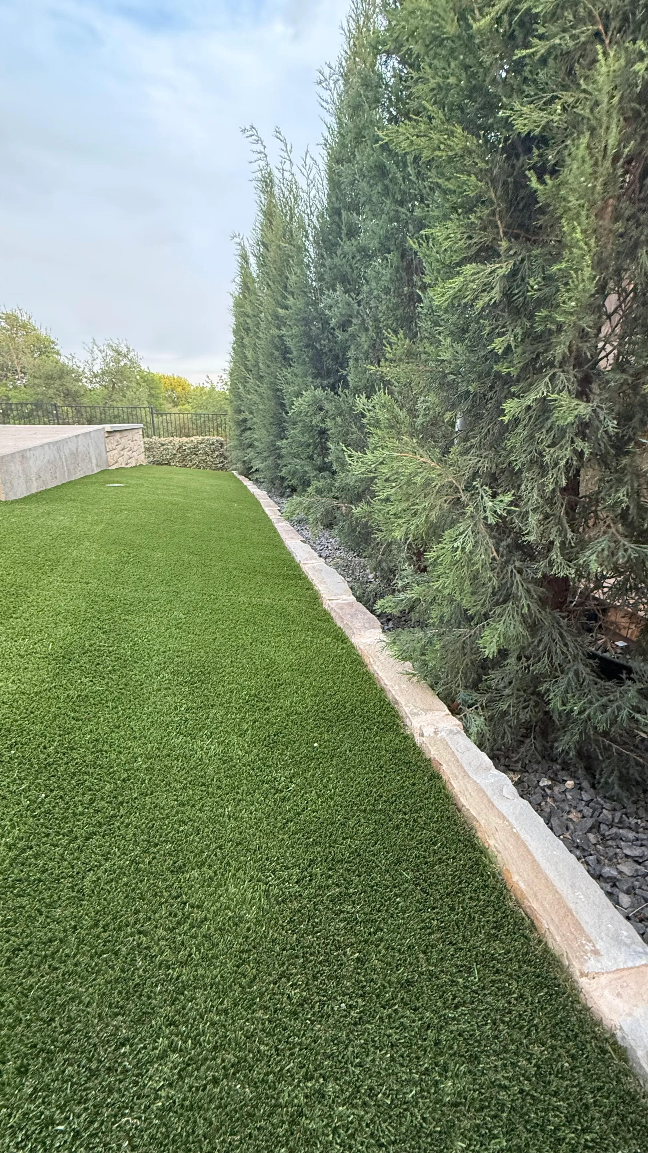 Artificial turf strip running along a tall cypress hedge beside a raised stone pool wall in DFW