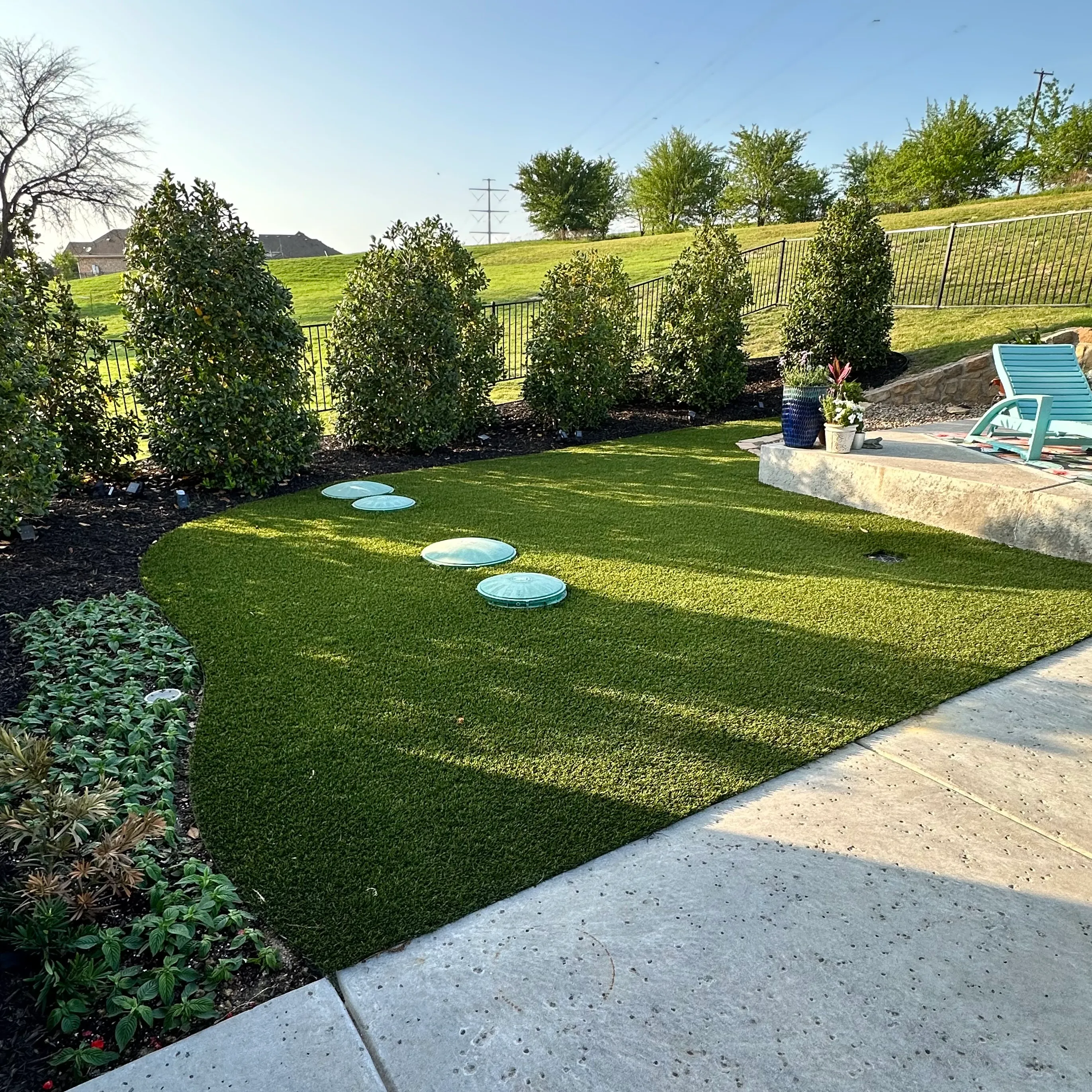 Curved artificial turf side yard beside a row of arborvitae hedges and a black iron fence in DFW