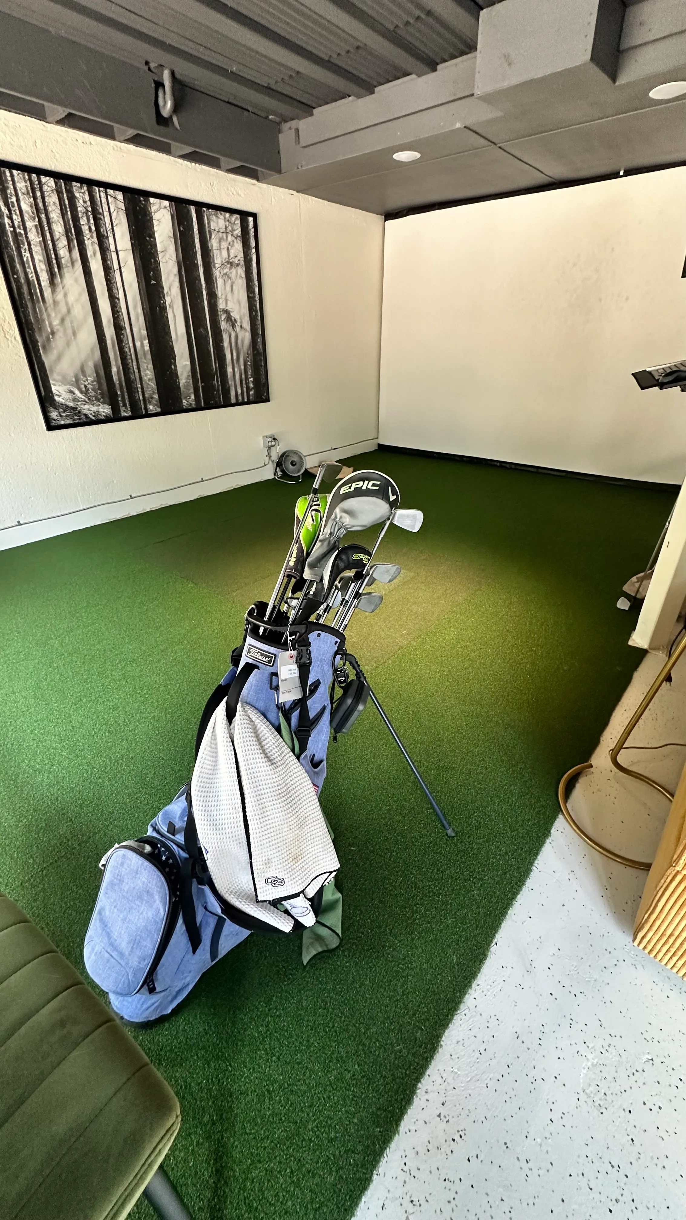 Home golf simulator room with turf flooring, a golf bag and clubs, and a forest photo mounted on the wall