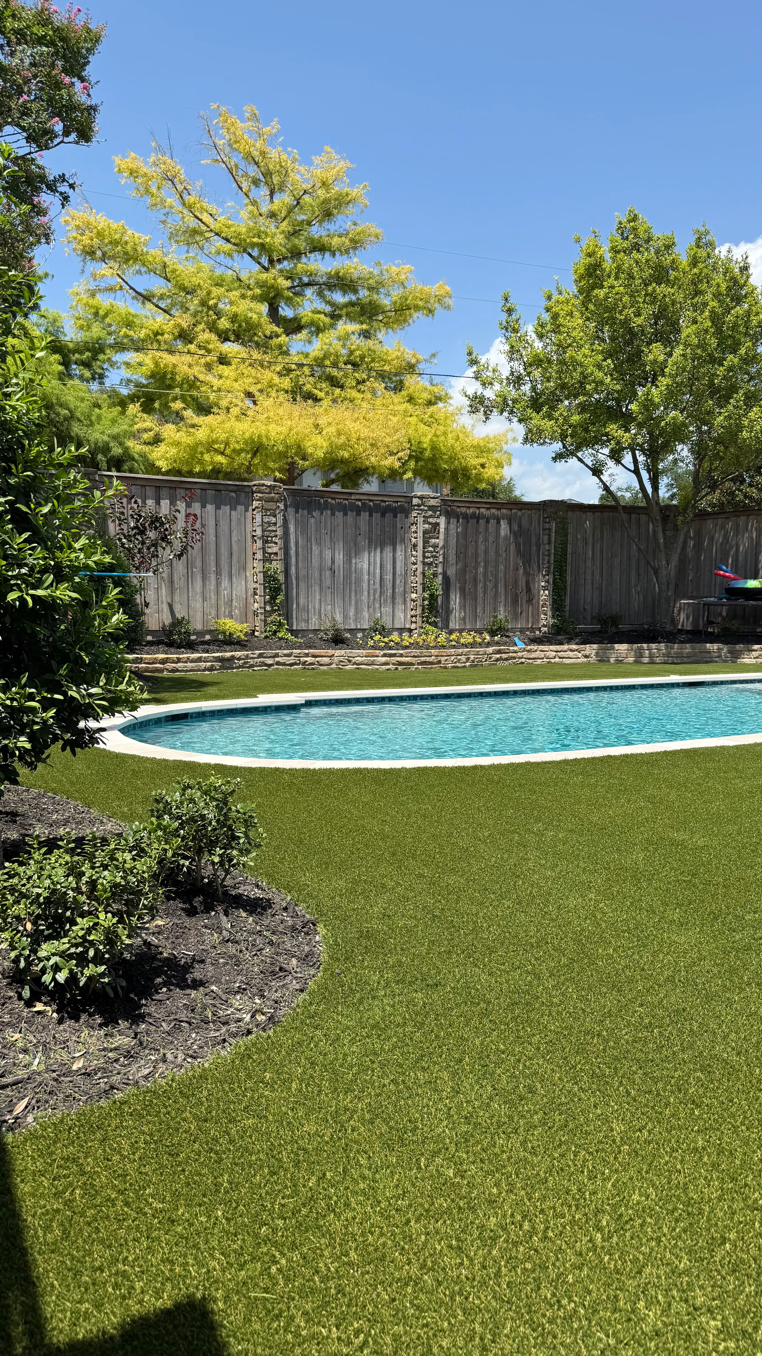 Artificial turf backyard with an oval pool bordered by a wood privacy fence and blooming crepe myrtle trees in DFW
