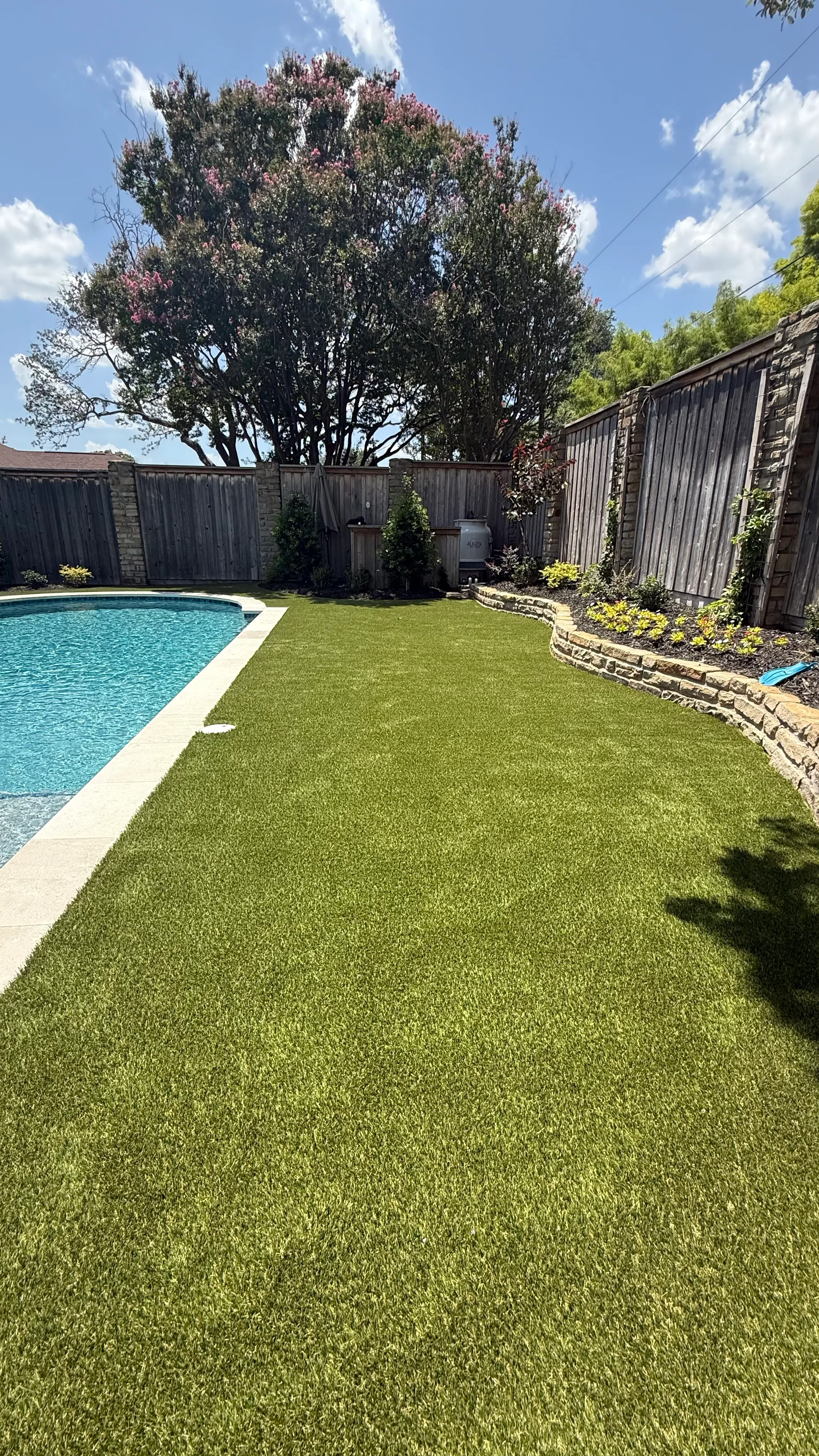 Turf backyard corner beside a pool under a blooming crepe myrtle canopy and wood privacy fence in DFW