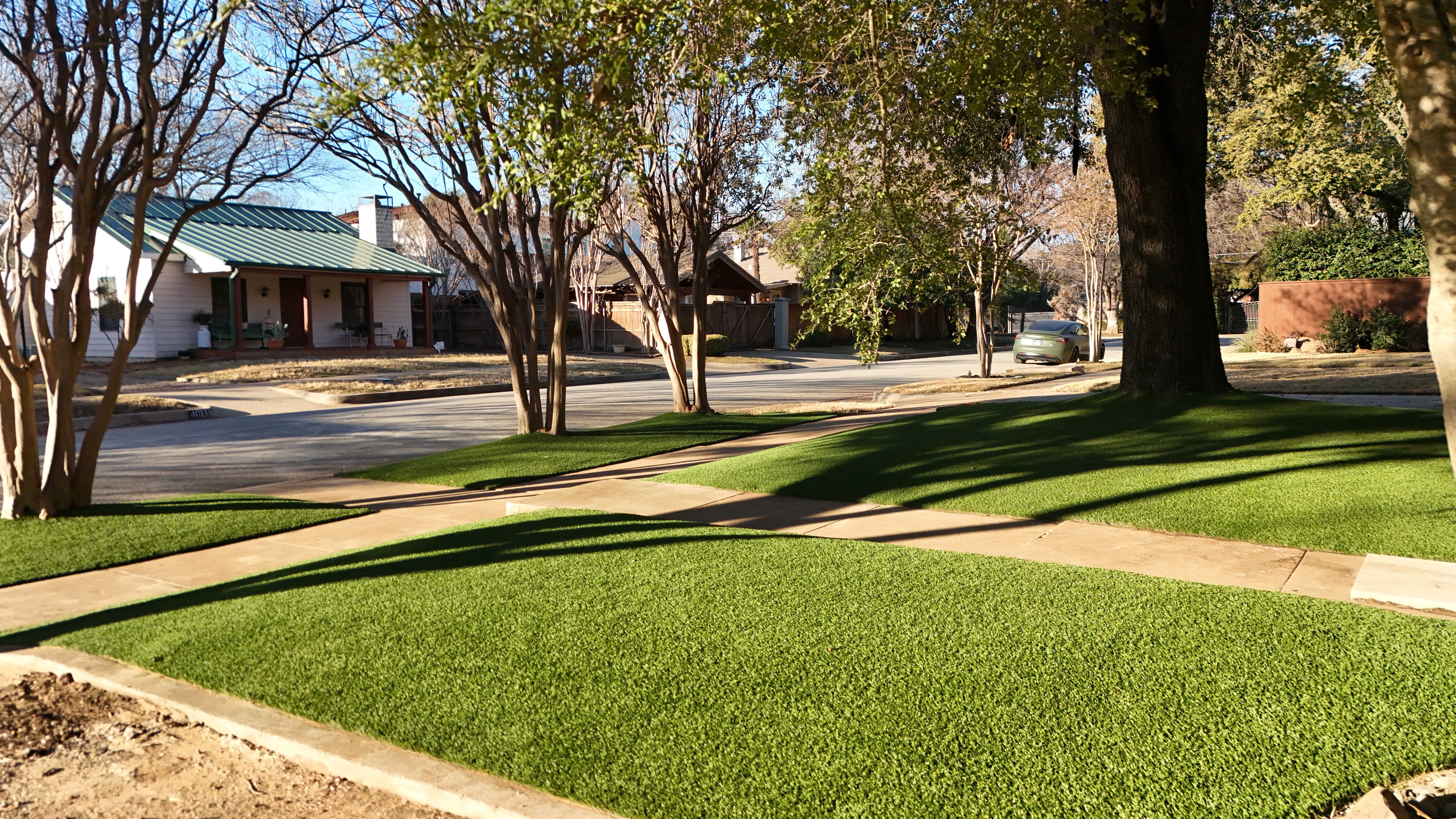 Monticello front yard: 2,200 SF of turf under a mature Fort Worth tree canopy feature 3