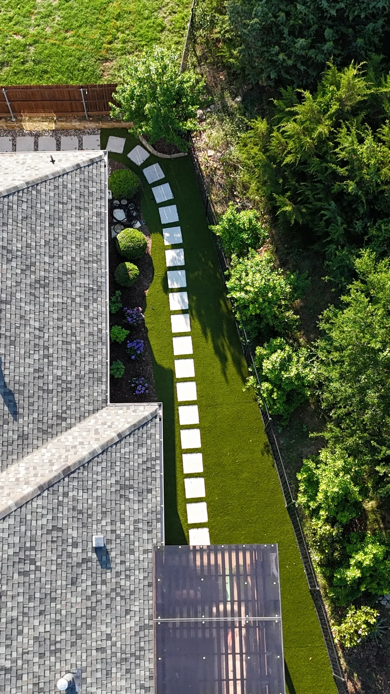 After 8 — Parks of Aledo backyard conversion: 1,750 SF of turf that disappears into the greenbelt, plus a paver walkway