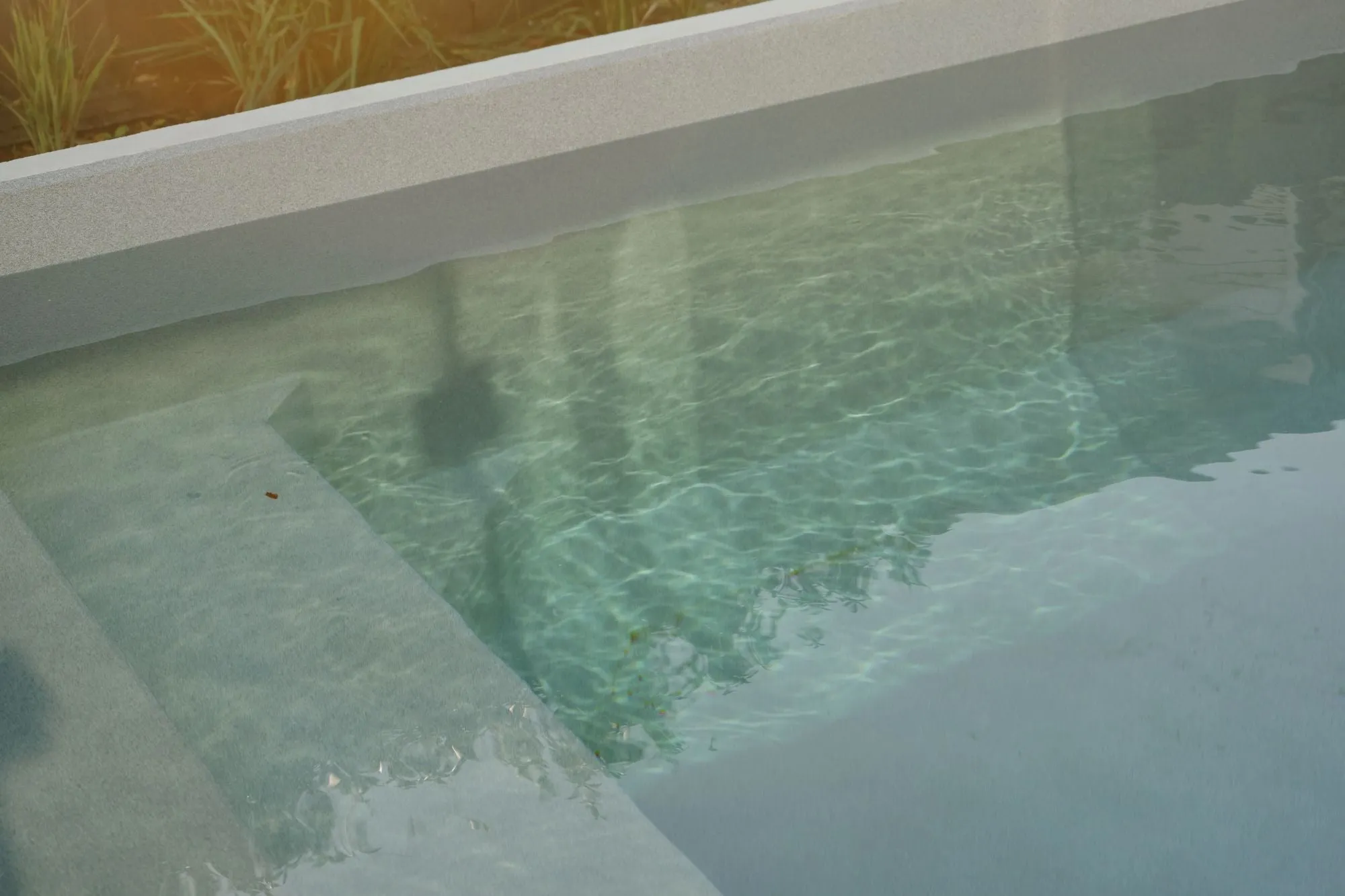 Plungie pool integrated with patio dining area